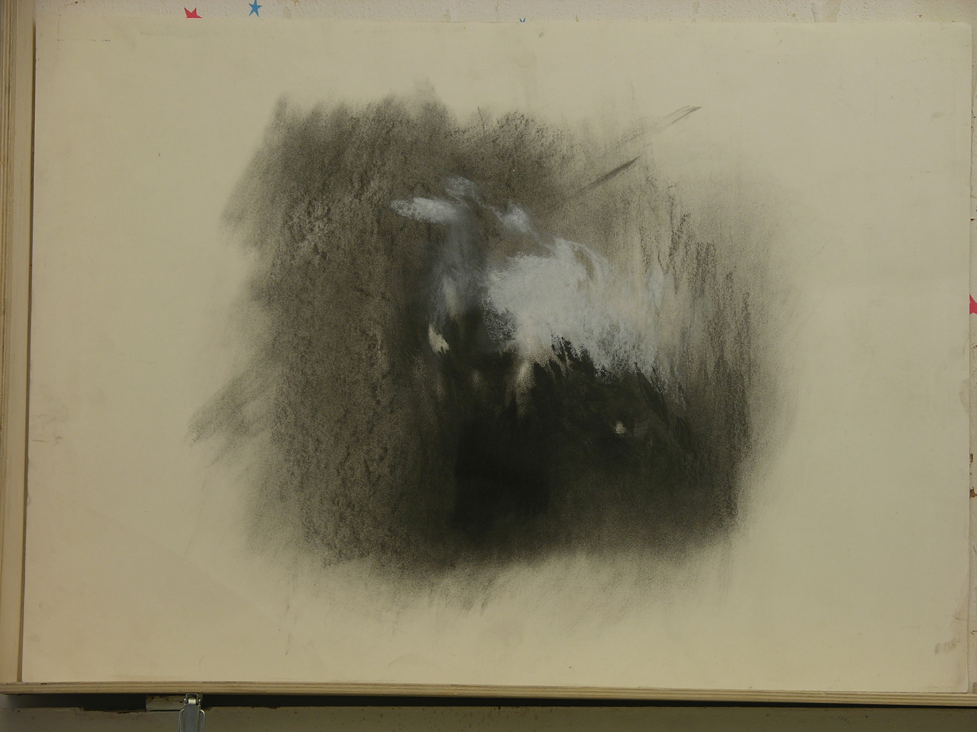 carboncillo,pastel/papel._70x50cm