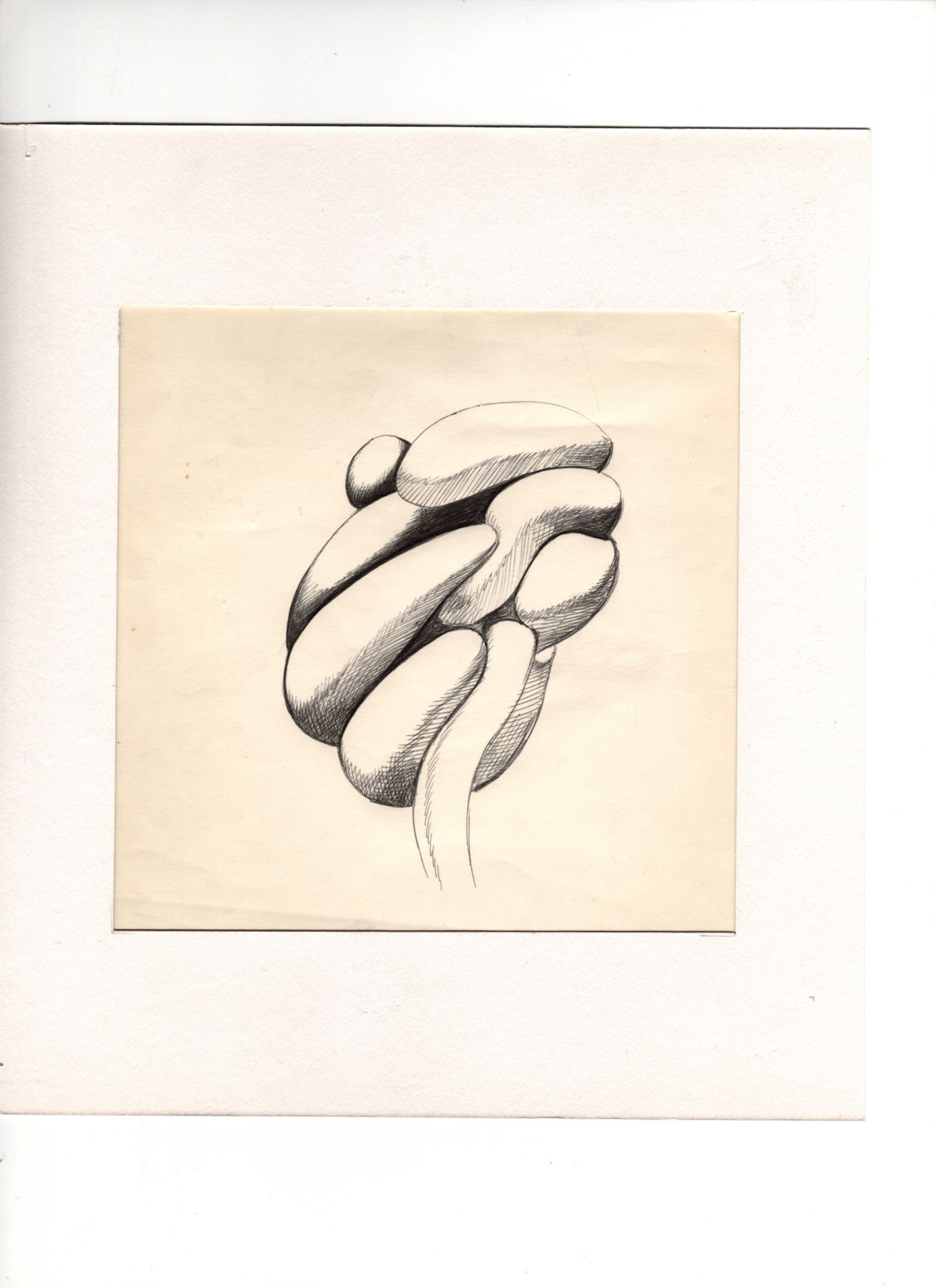 boligrafo/papel._ 14,3 x 14,3 cm