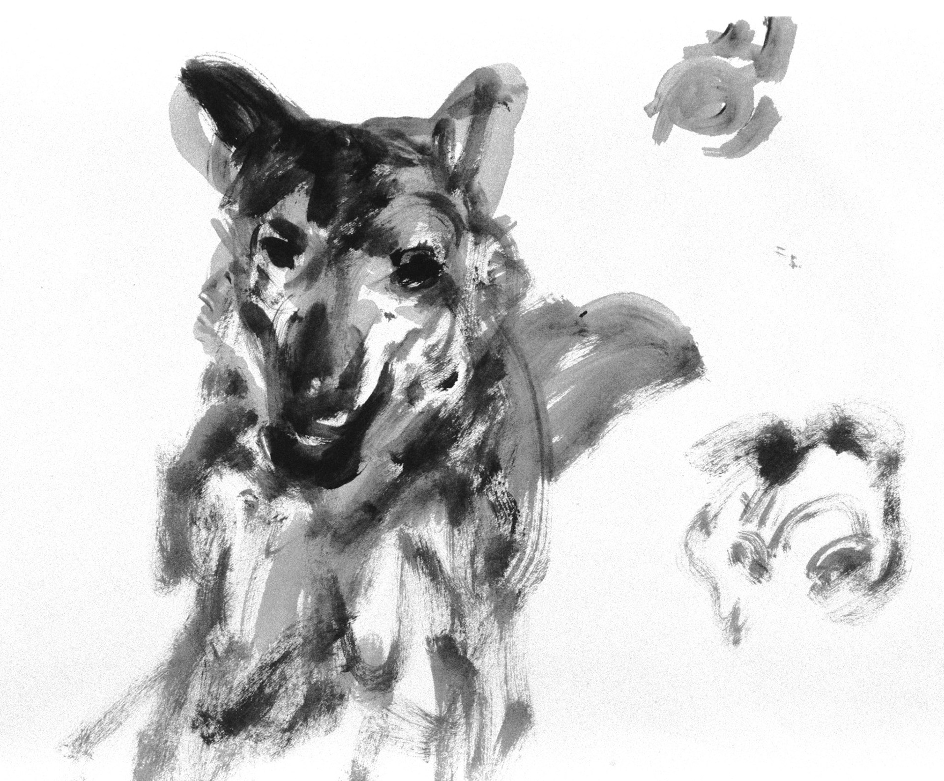 Acrílico/papel amarillo.- 60,5x45,5cm