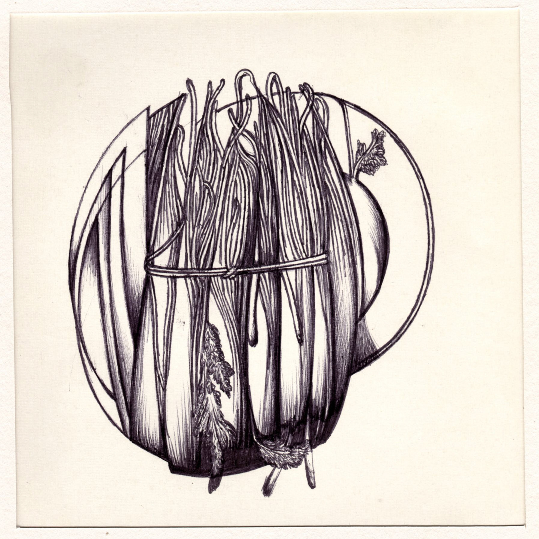 boligrafo/papel._ 14,3 x 14,3 cm