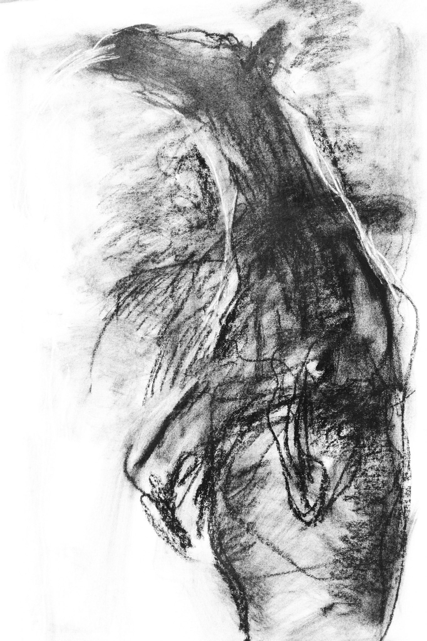 Carboncillo y tiza color/papel amarillo.- 70x50,7cm