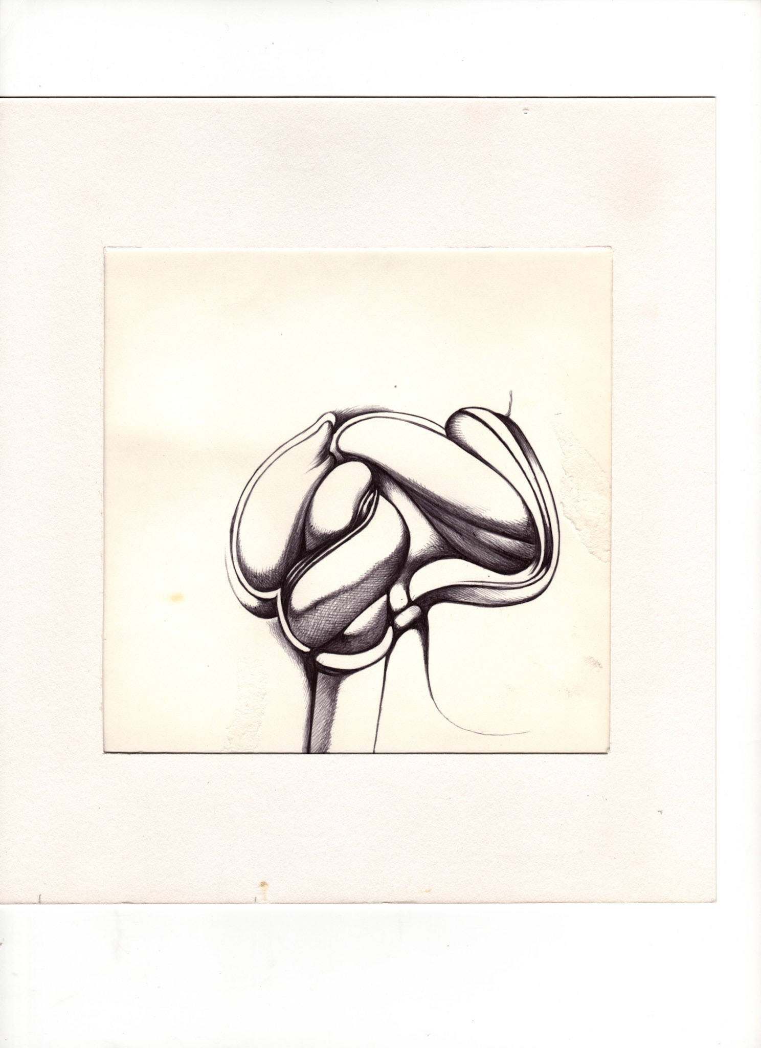 boligrafo/papel._ 14,3 x 14,3 cm