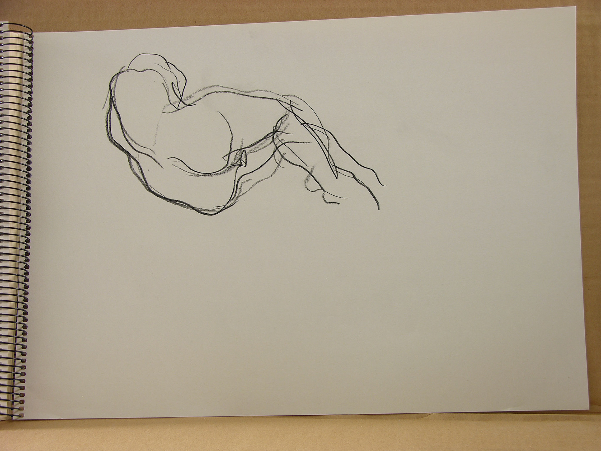 Lápiz/papel.-29,6x41cm