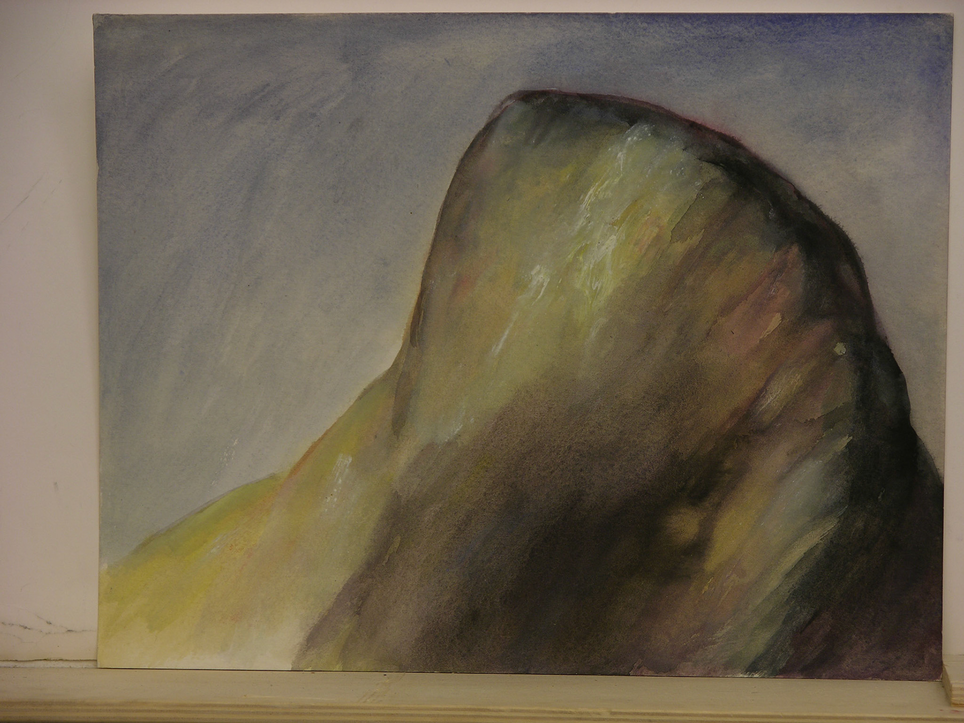 Aguada acrílica/cartulina._25x32cm