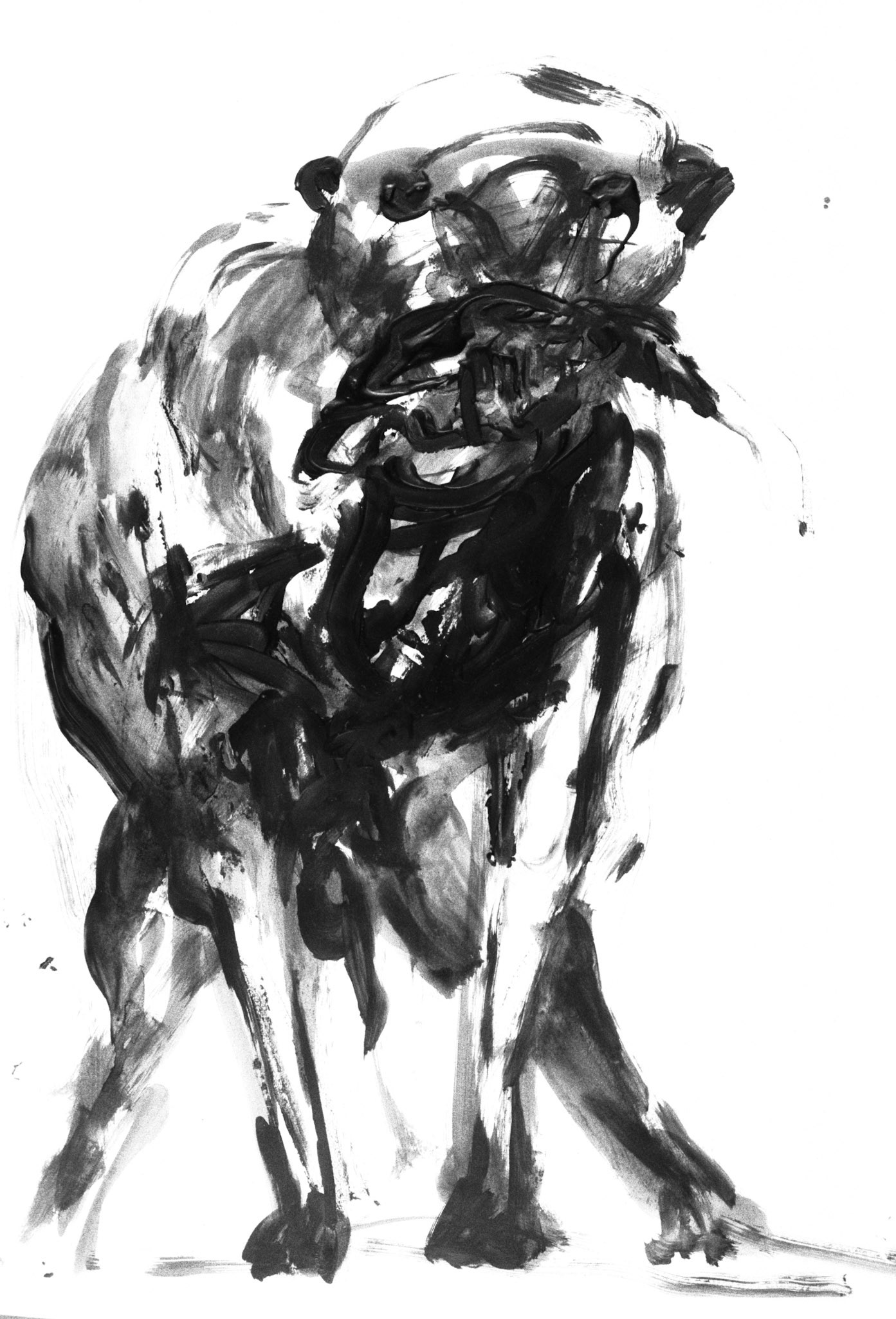 Acrílico/papel.- 65x50cm