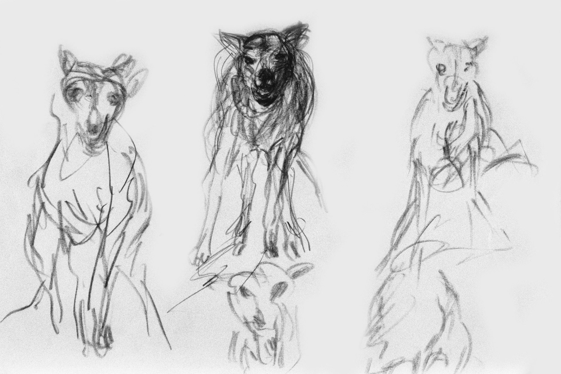 Carboncillo/papel amarillo.- 60,5x45,5cm