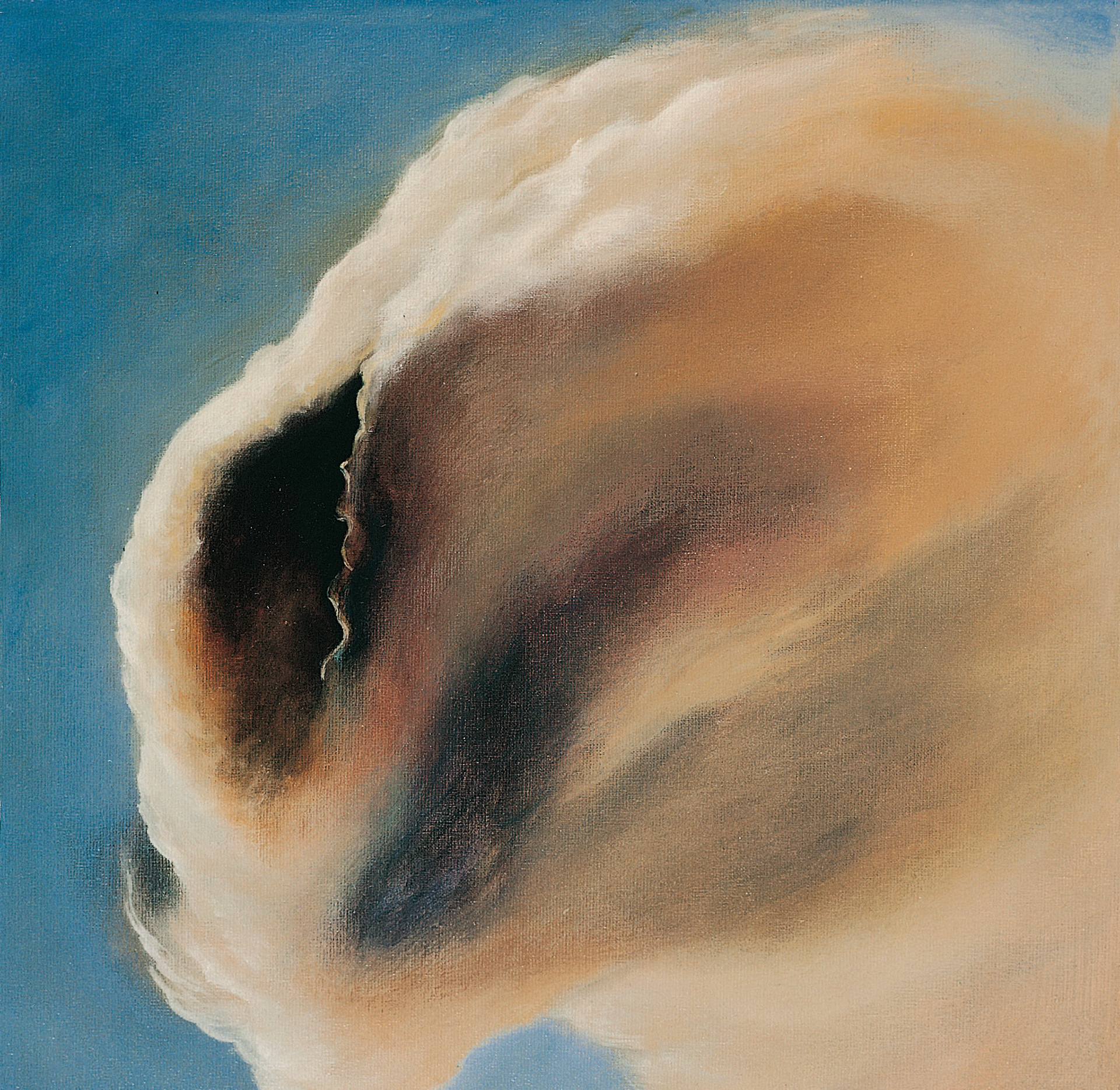 Acrílico/lienzo._ 50 x 50 cm