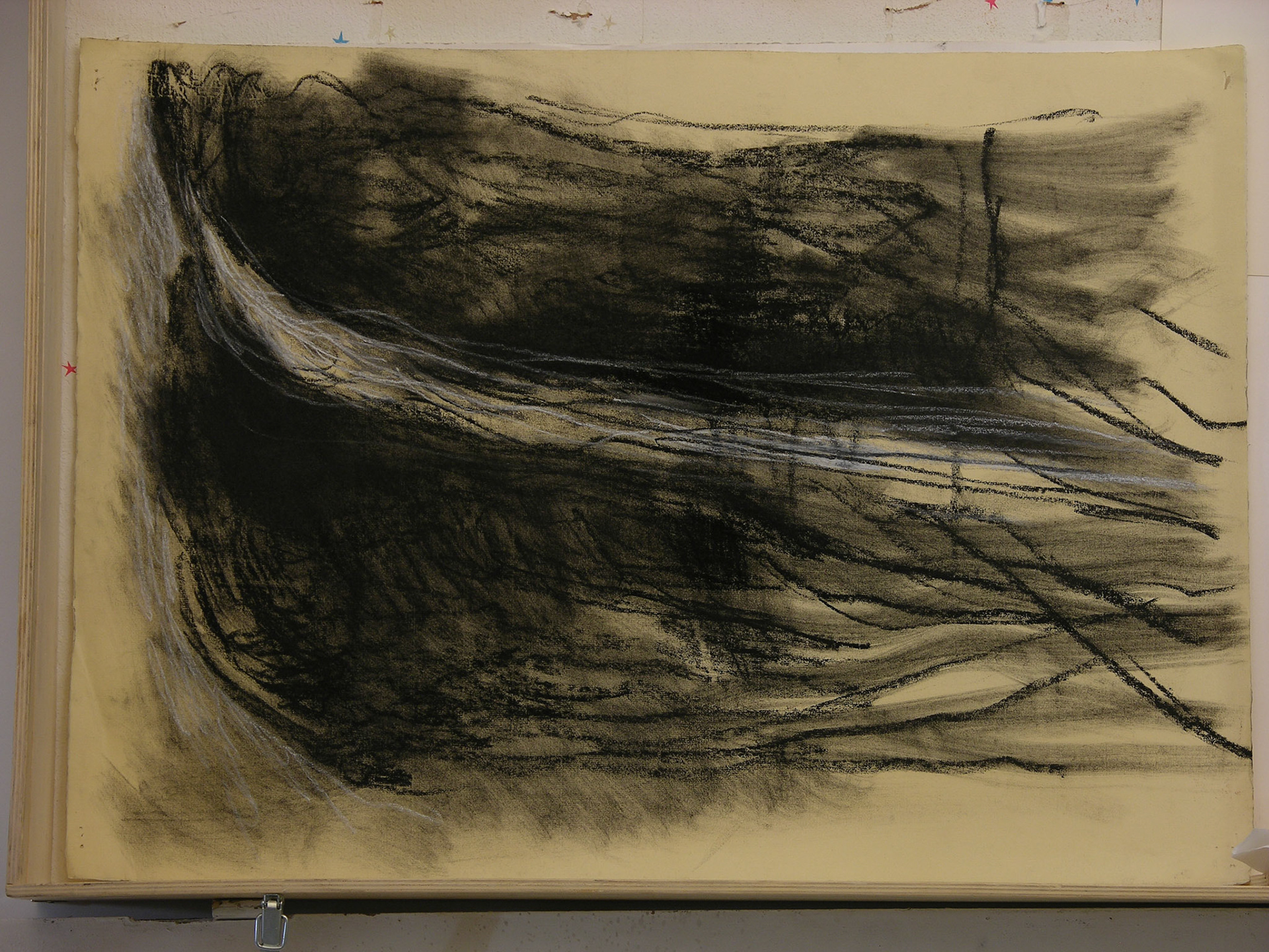 carboncillo/papel._ 70x50cm