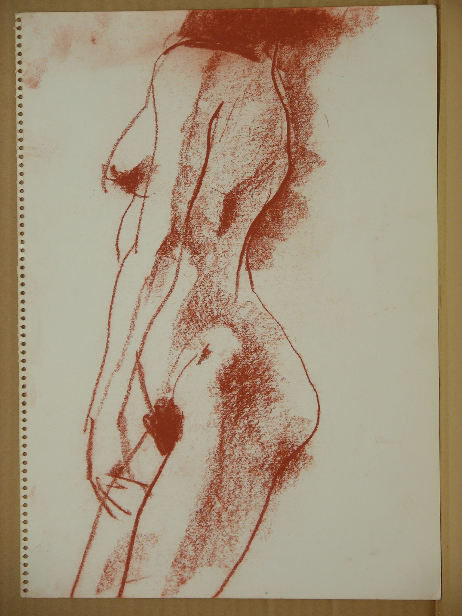 Sanguina/papel._ 34,3x24cm