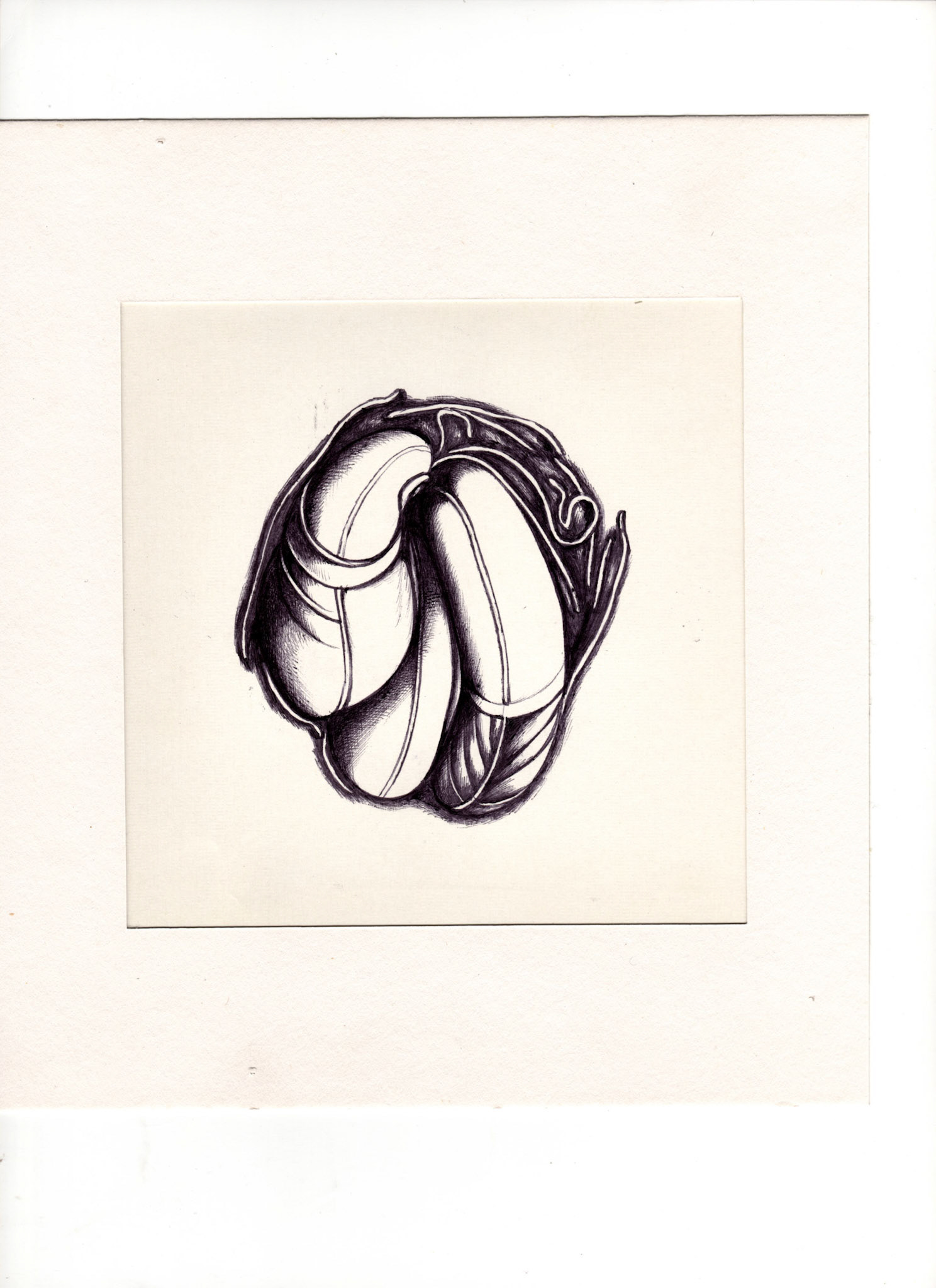 boligrafo/papel._ 14,3 x 14,3 cm