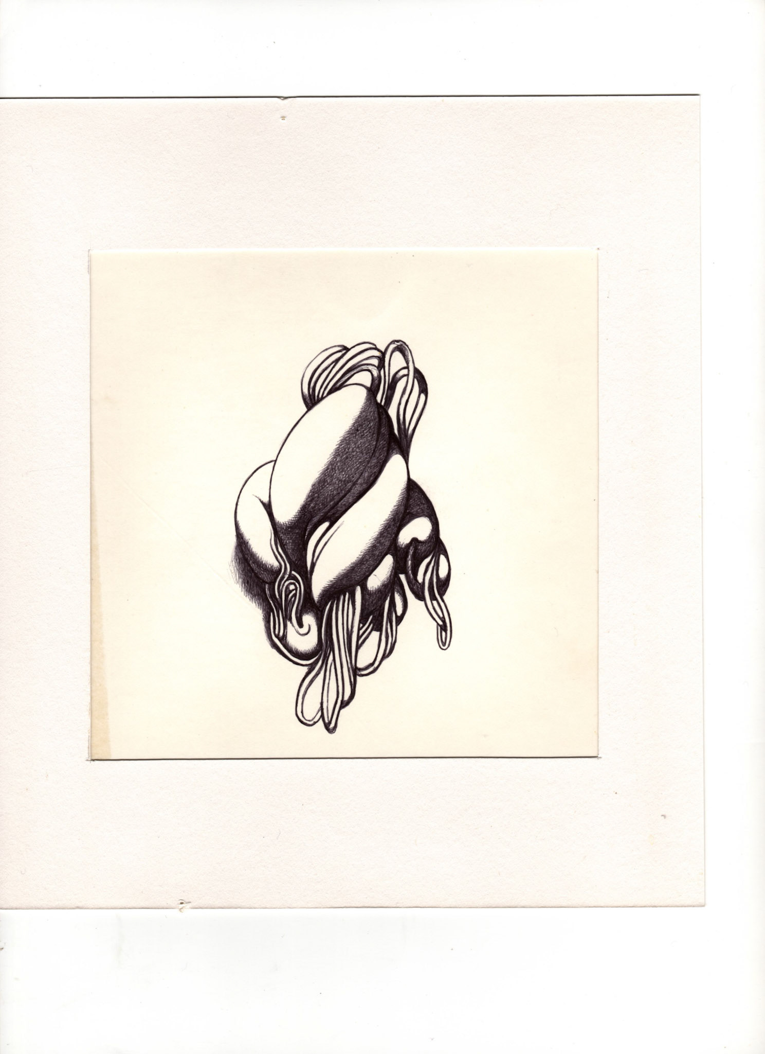 boligrafo/papel._ 14,3 x 14,3 cm