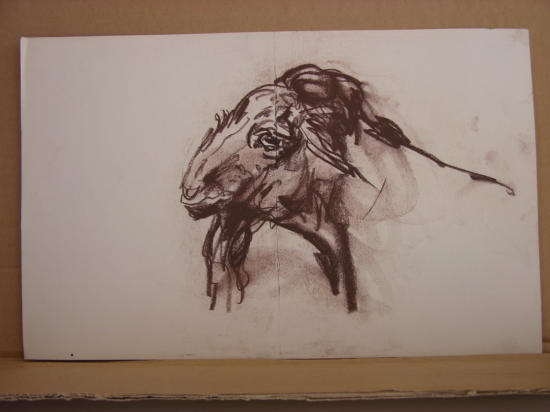 Barra conté/papel .- 24x37,7cm