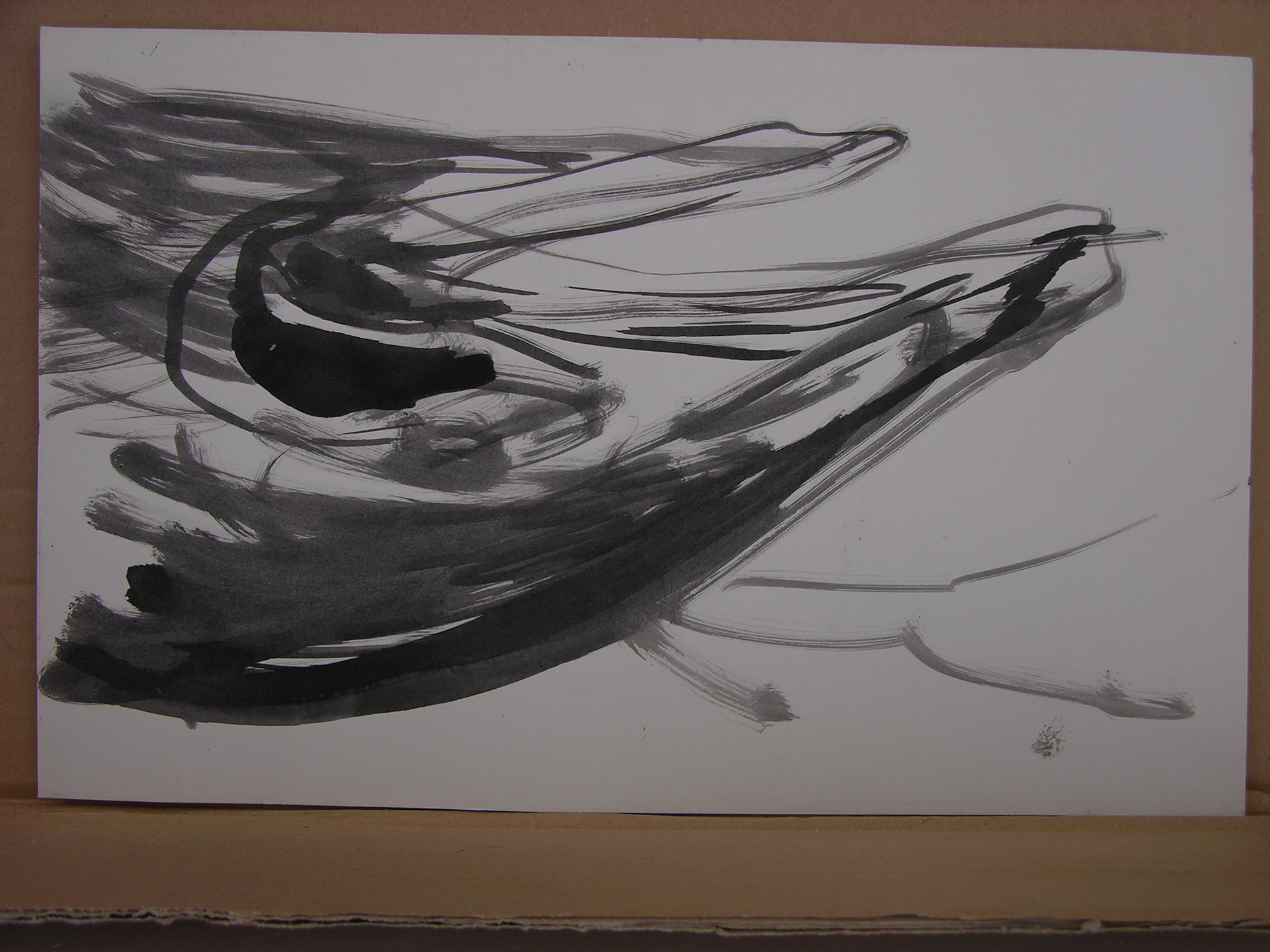 Tinta china/papel .- 24x37,7cm