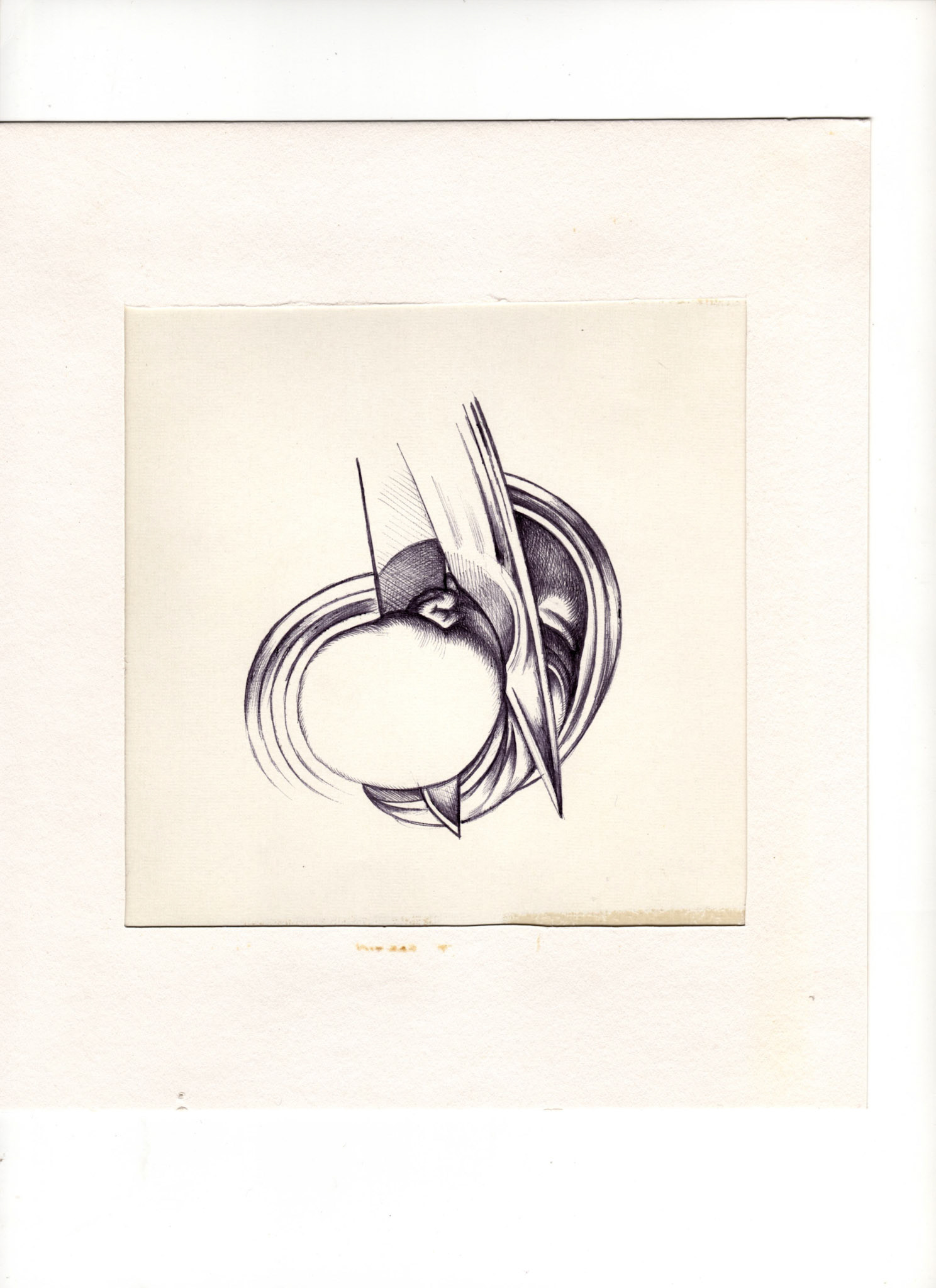 boligrafo/papel._ 14,3 x 14,3 cm