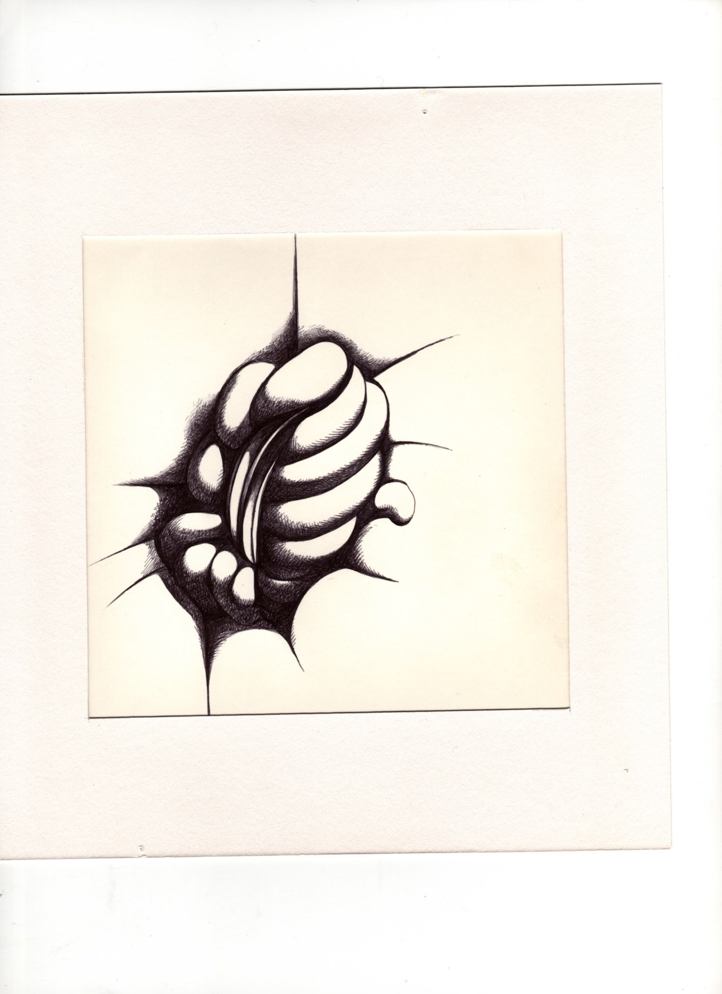 boligrafo/papel._ 14,3 x 14,3 cm