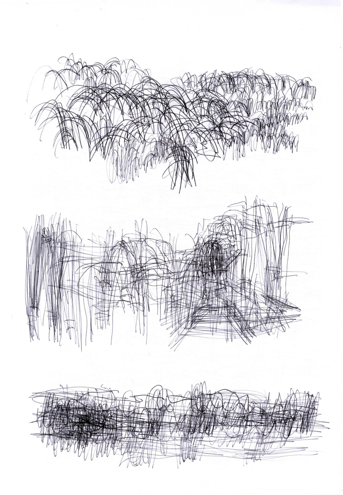 Bolígrafo / papel._ 29,5 x 20,5 cm.