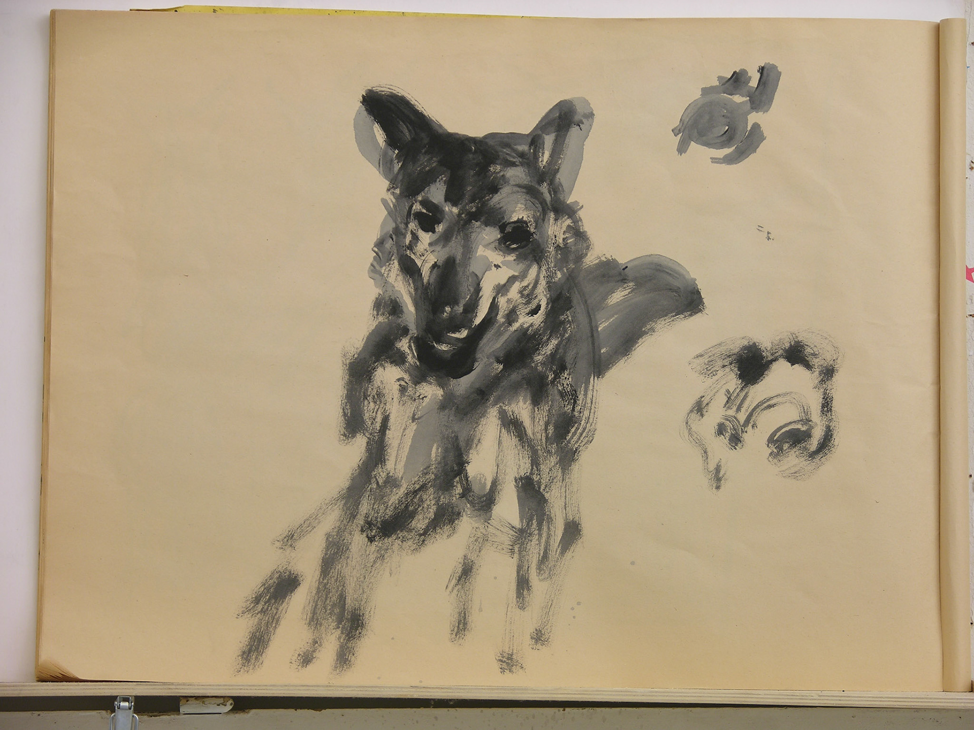 Aguada acrílica.- 46 x 60,5cm