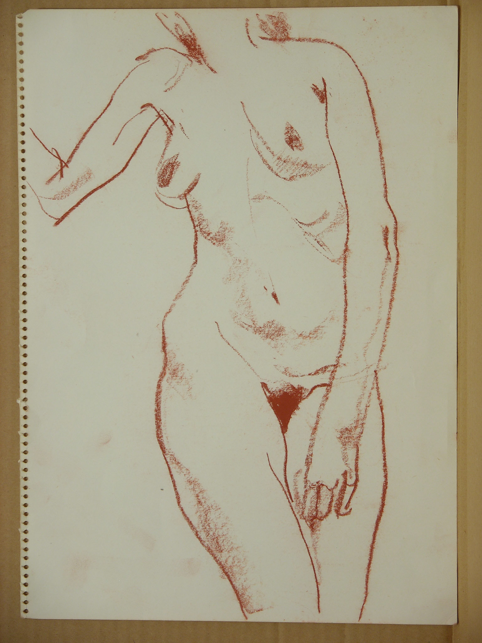 Sanguina/papel._34,3x24cm