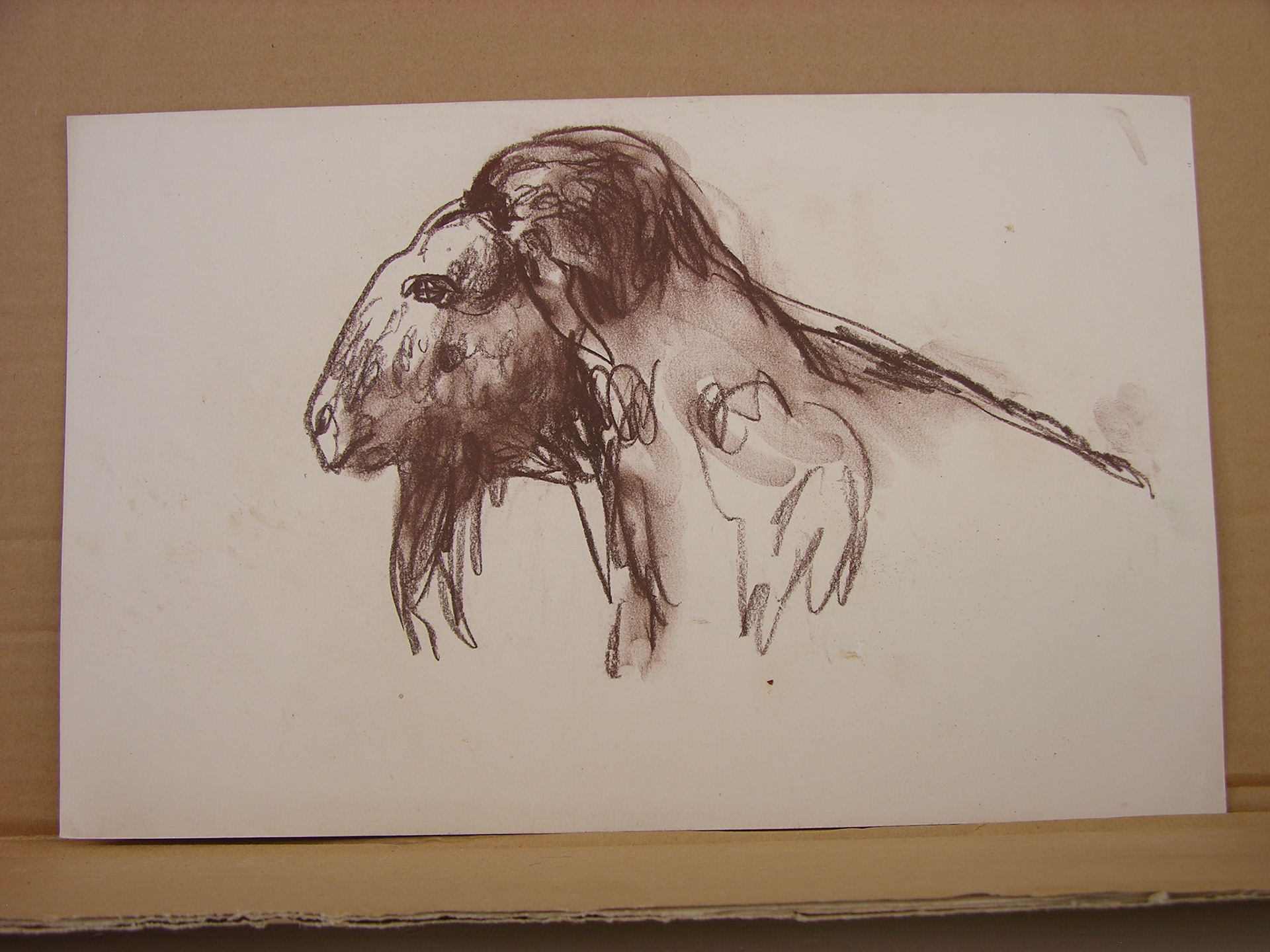 Barra conté/papel .- 24x37,7cm