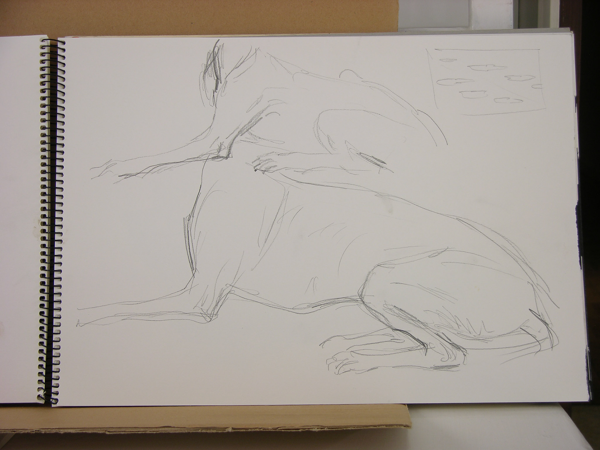 Lápiz/papel.- 42x29,7cm