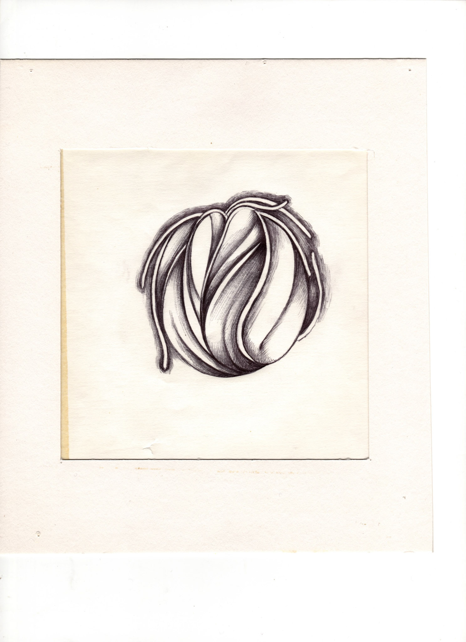 boligrafo/papel._ 14,3 x 14,3 cm