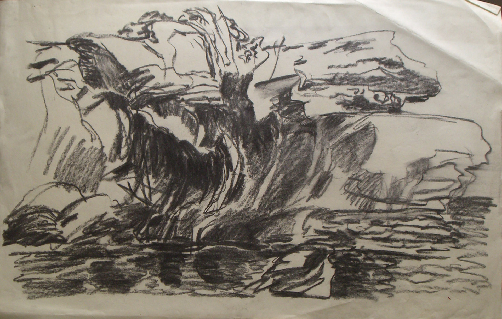 Carboncillo/papel .-40,7x70cm