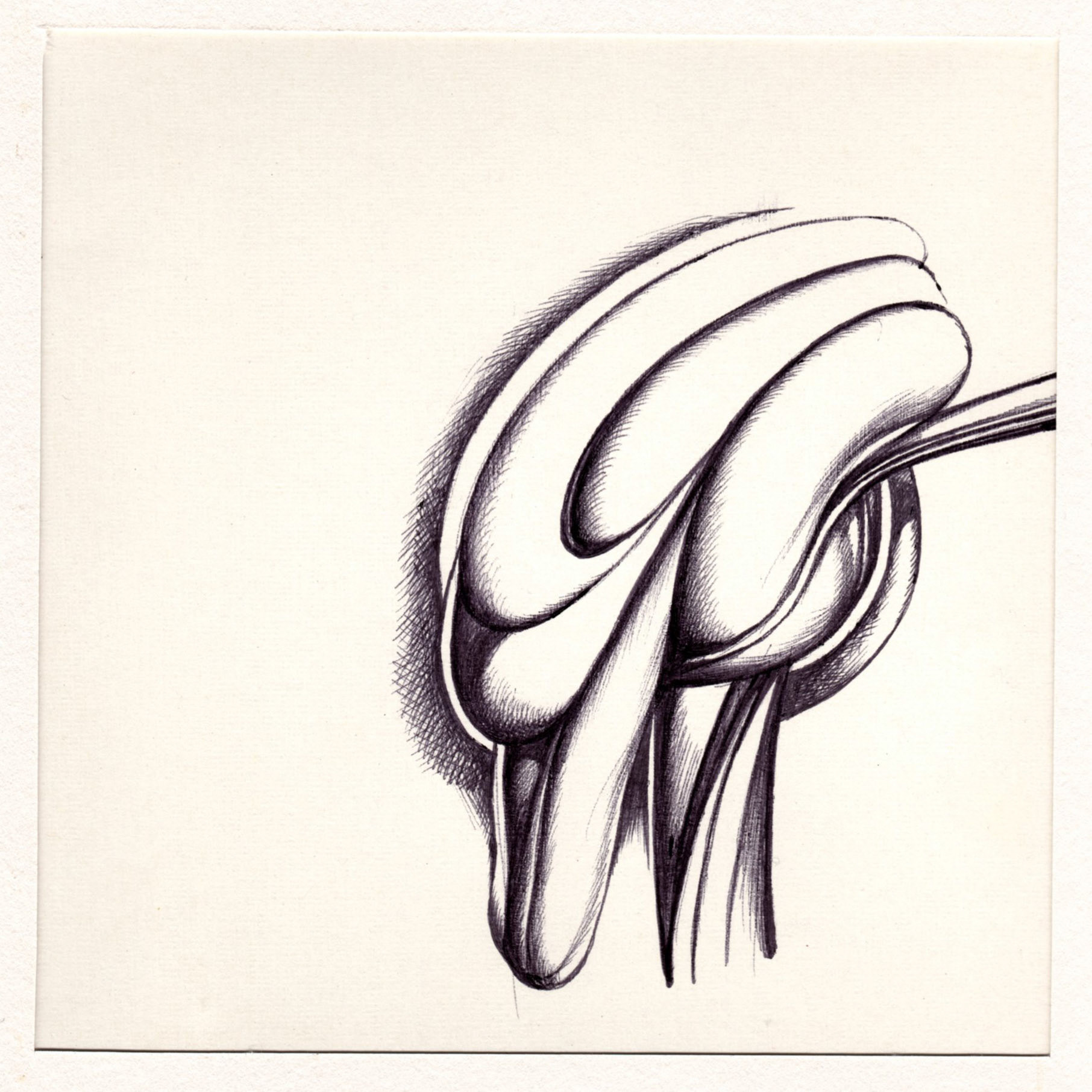 boligrafo/papel._ 14,3 x 14,3 cm