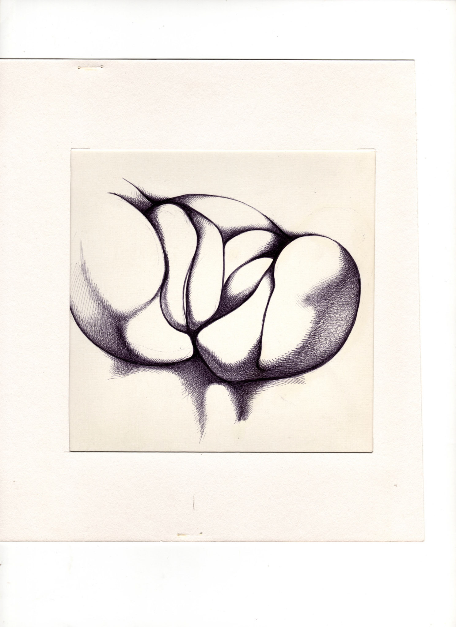 boligrafo/papel._ 14,3 x 14,3 cm