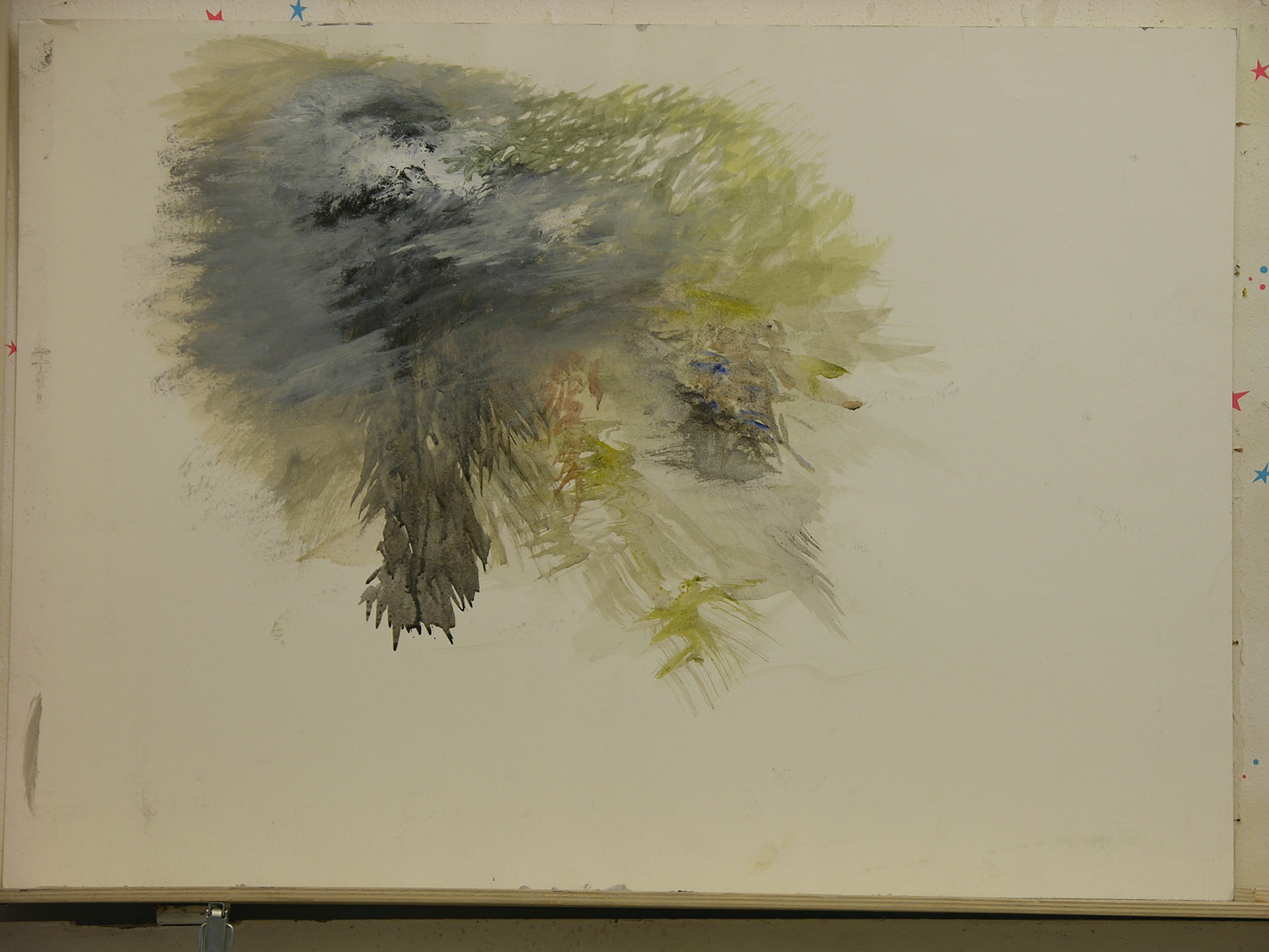 aguada acrílica/papel.Ç_Ç 50x70cm