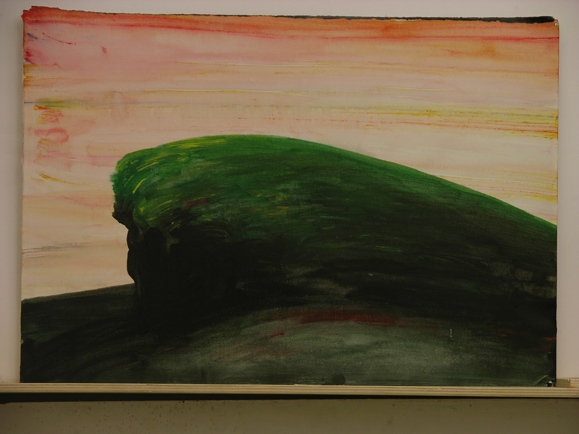 aguada  acrílica/cartulina._34,5x50cm