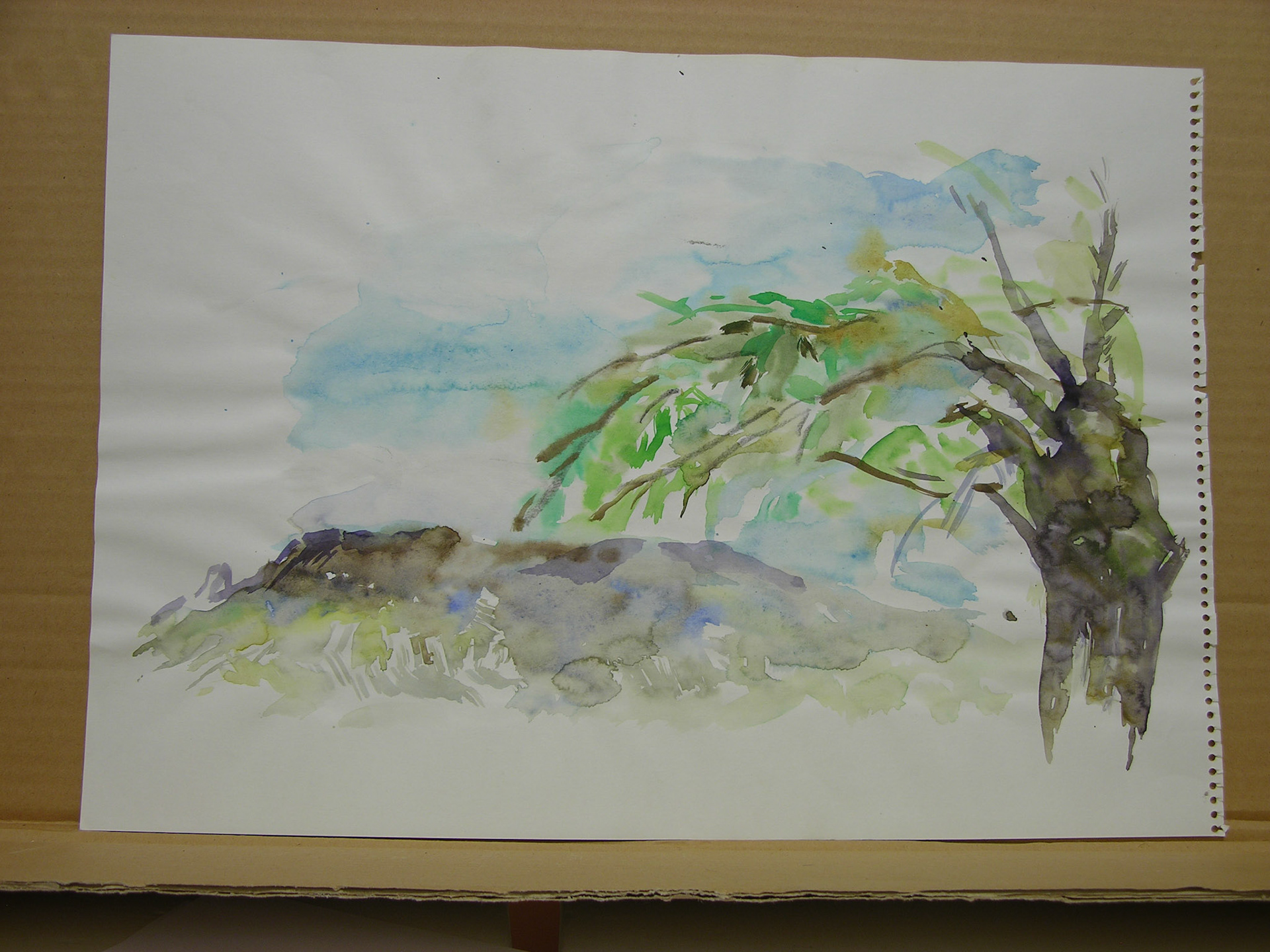 Acuarela/papel.-  32,3x45,2cm