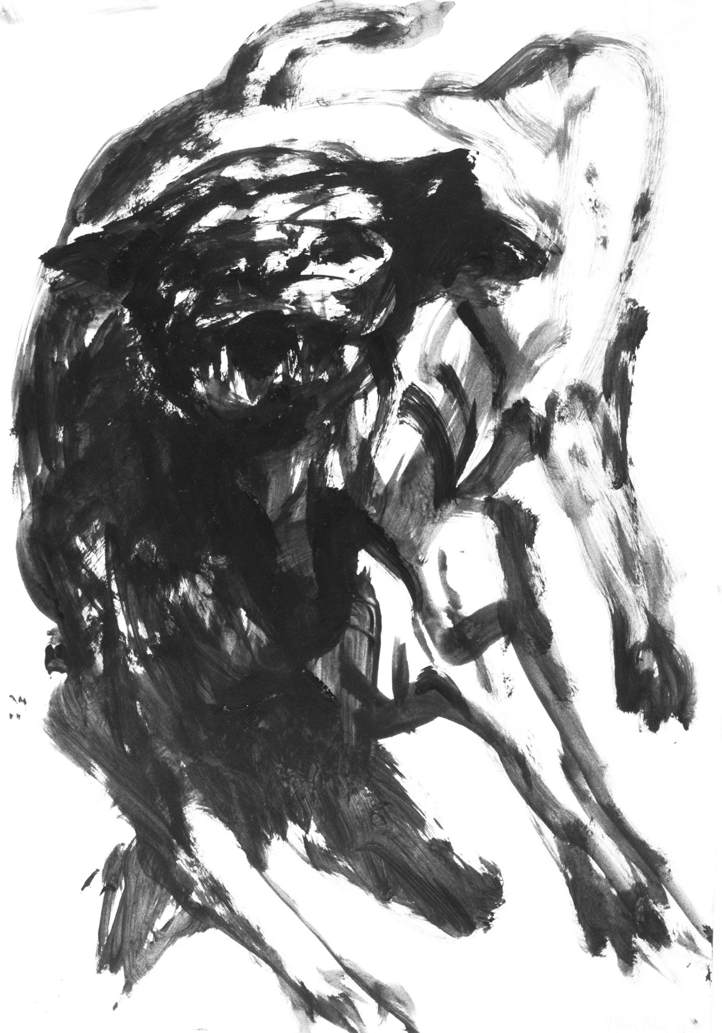 Acrílico/papel.- 65x50cm