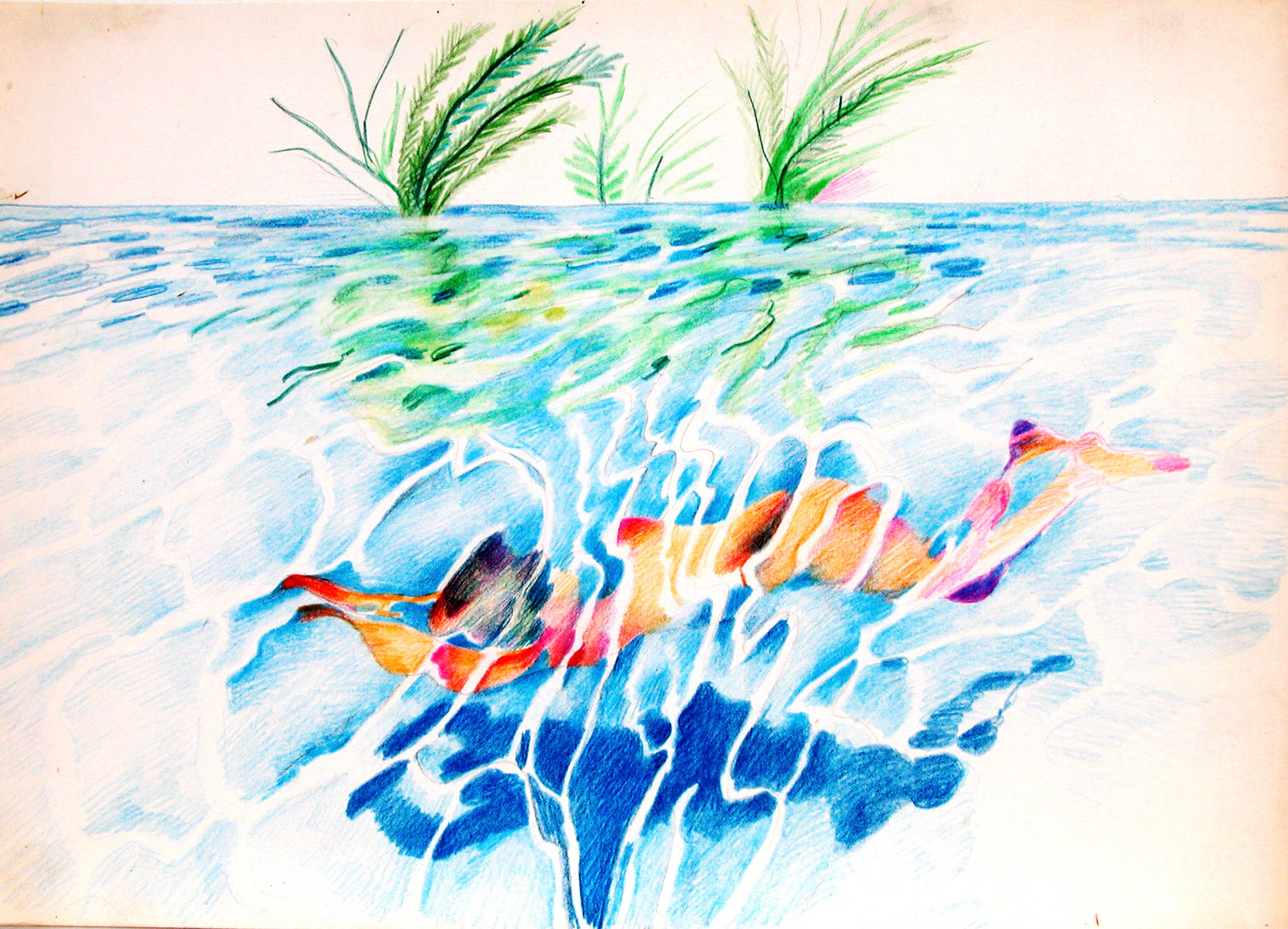 Lápiz/papel._24x34,5cm