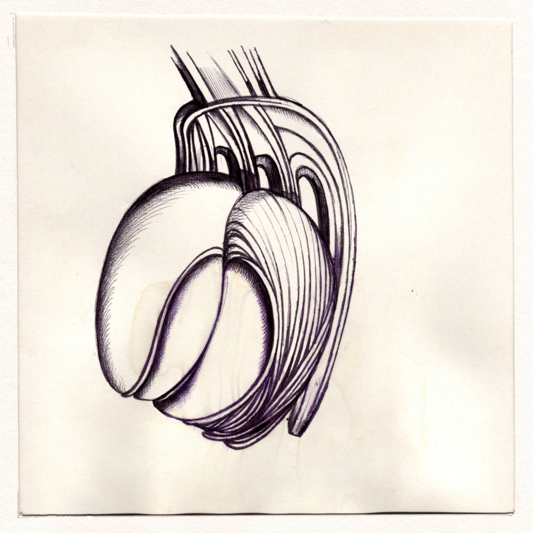 boligrafo/papel._ 14,3 x 14,3 cm