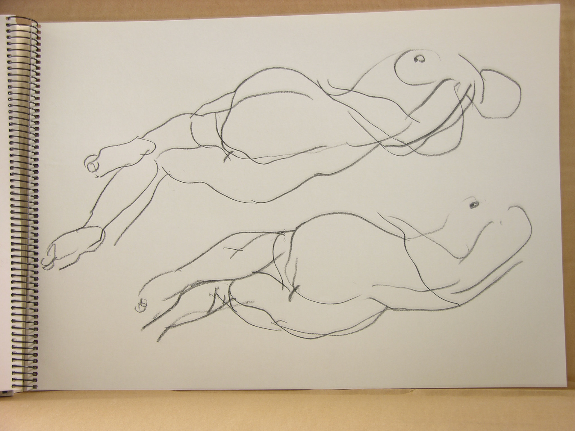 Lápiz/papel.-29,6x41cm