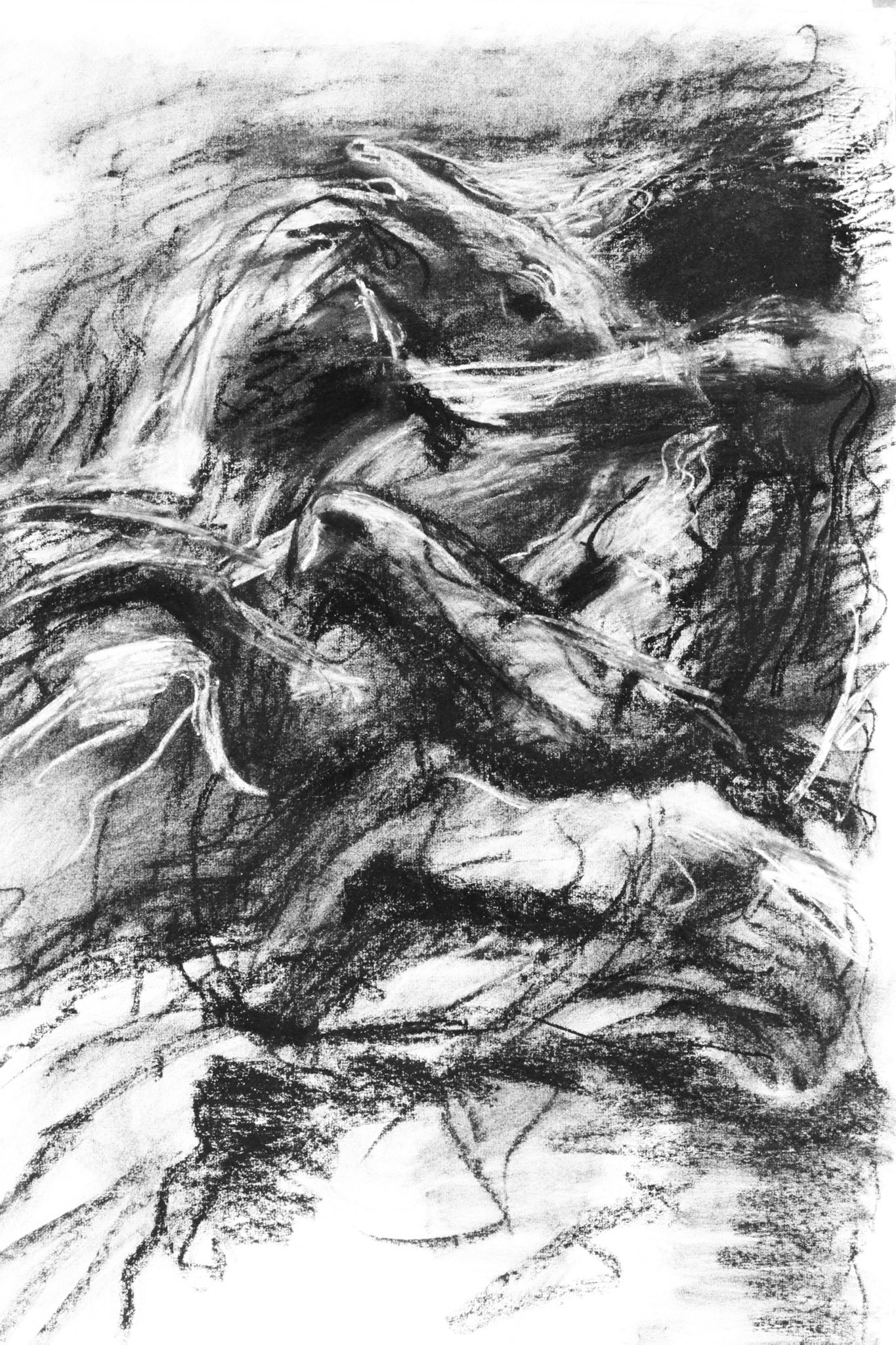 Carboncillo y tiza/papel.-70x50cm