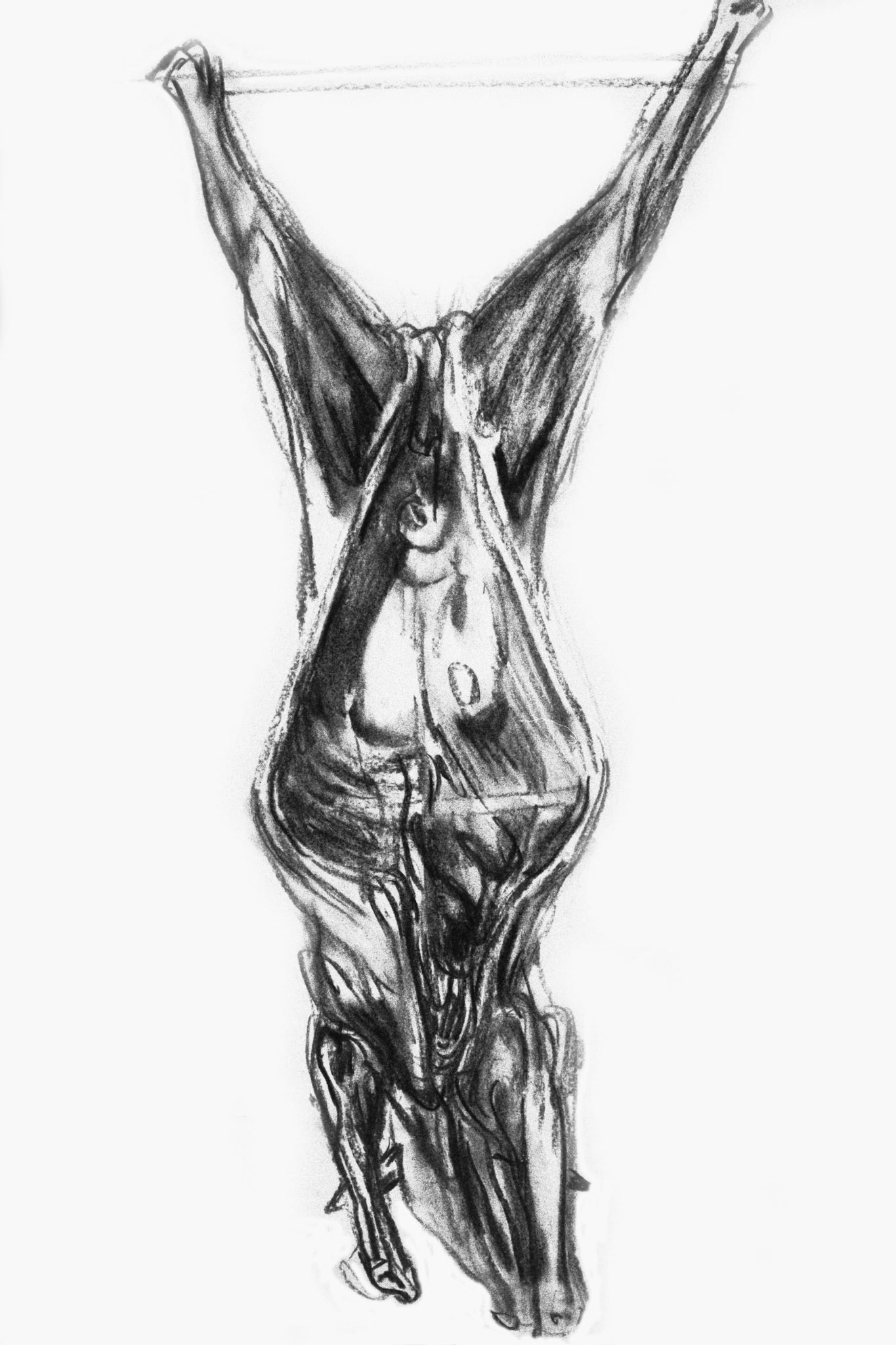 Carboncillo/papel amarillento.- 70x49,5cm