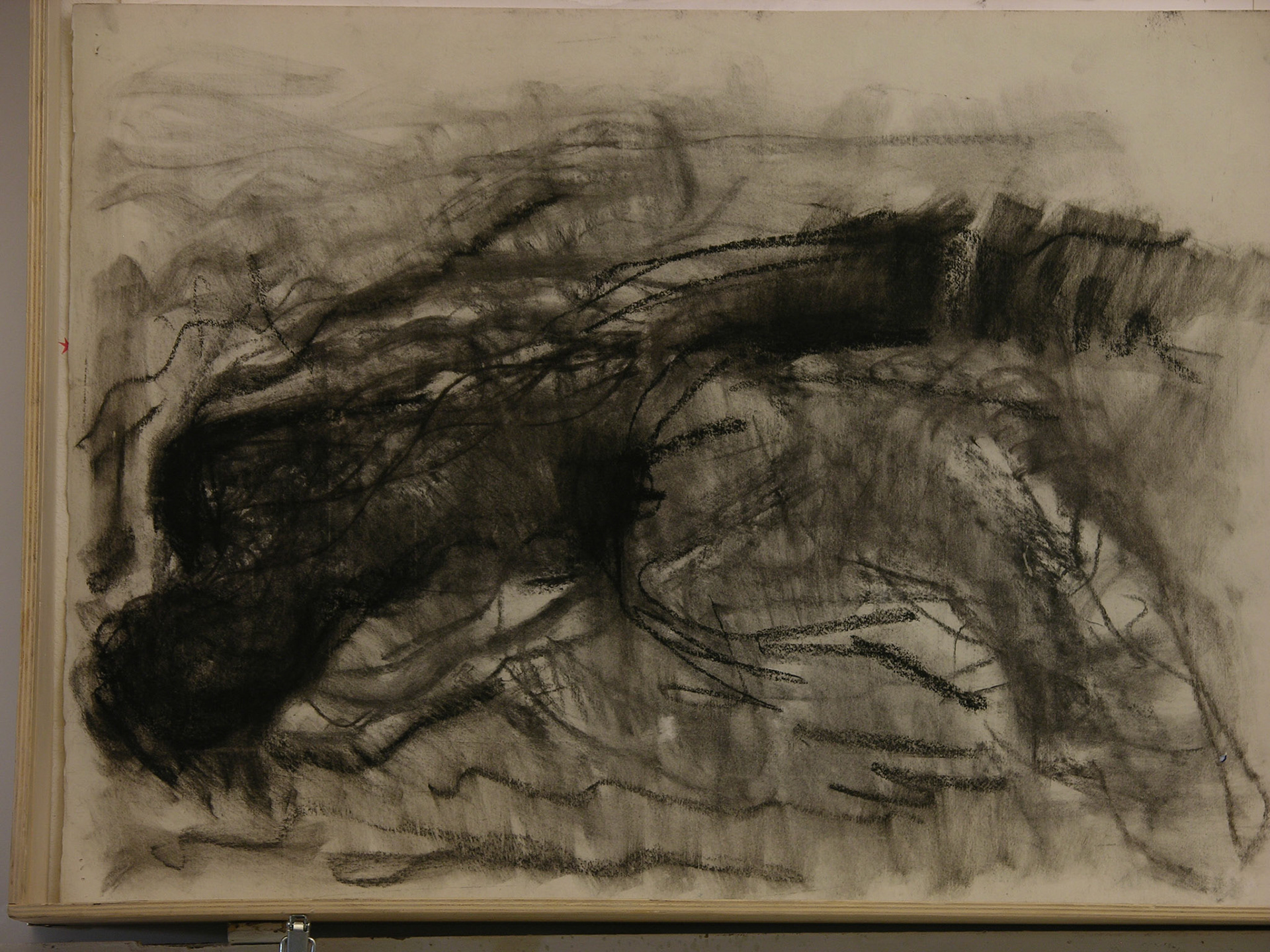 carboncillo/papel._70x50cm