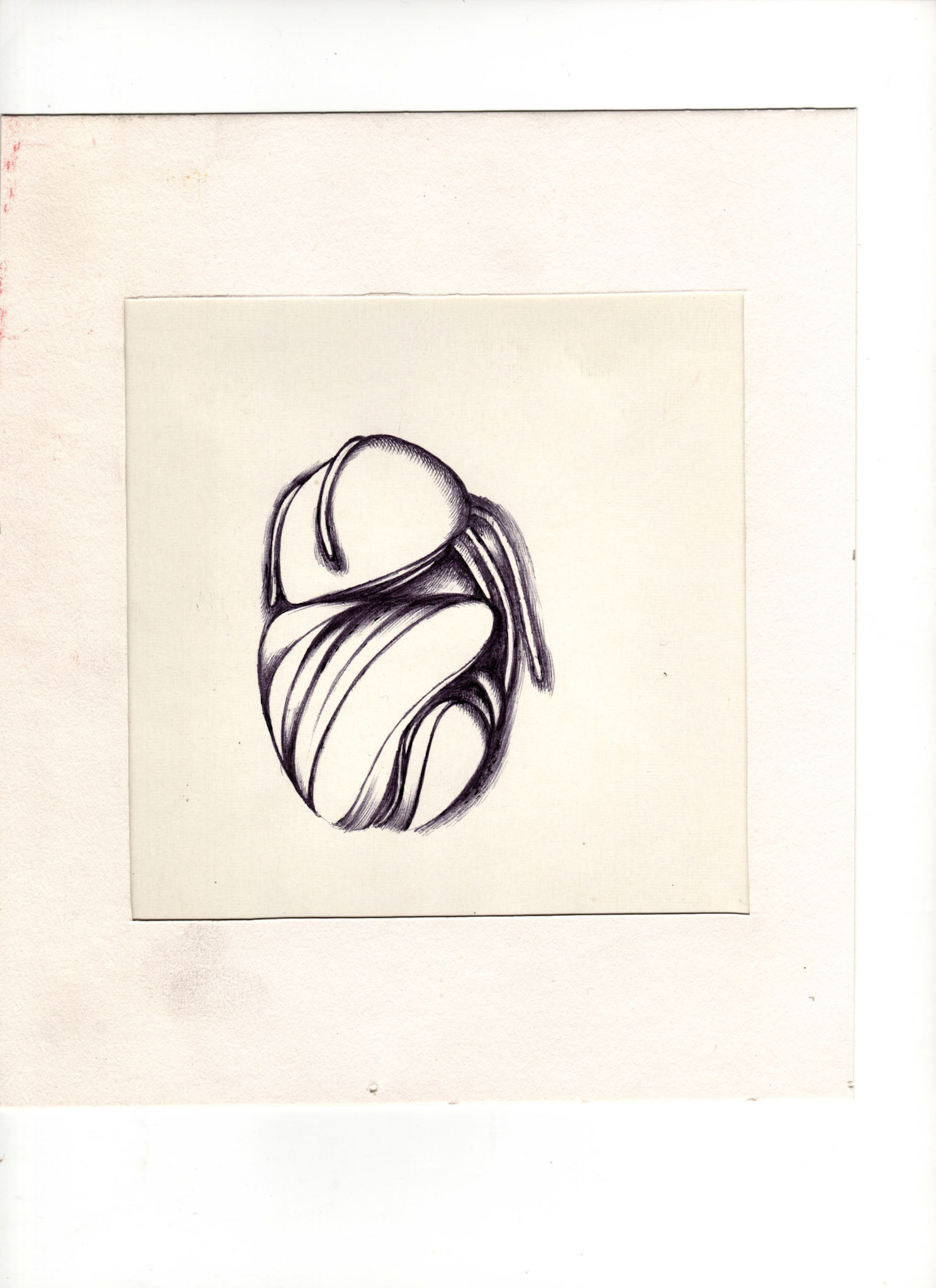 boligrafo/papel._ 14,3 x 14,3 cm