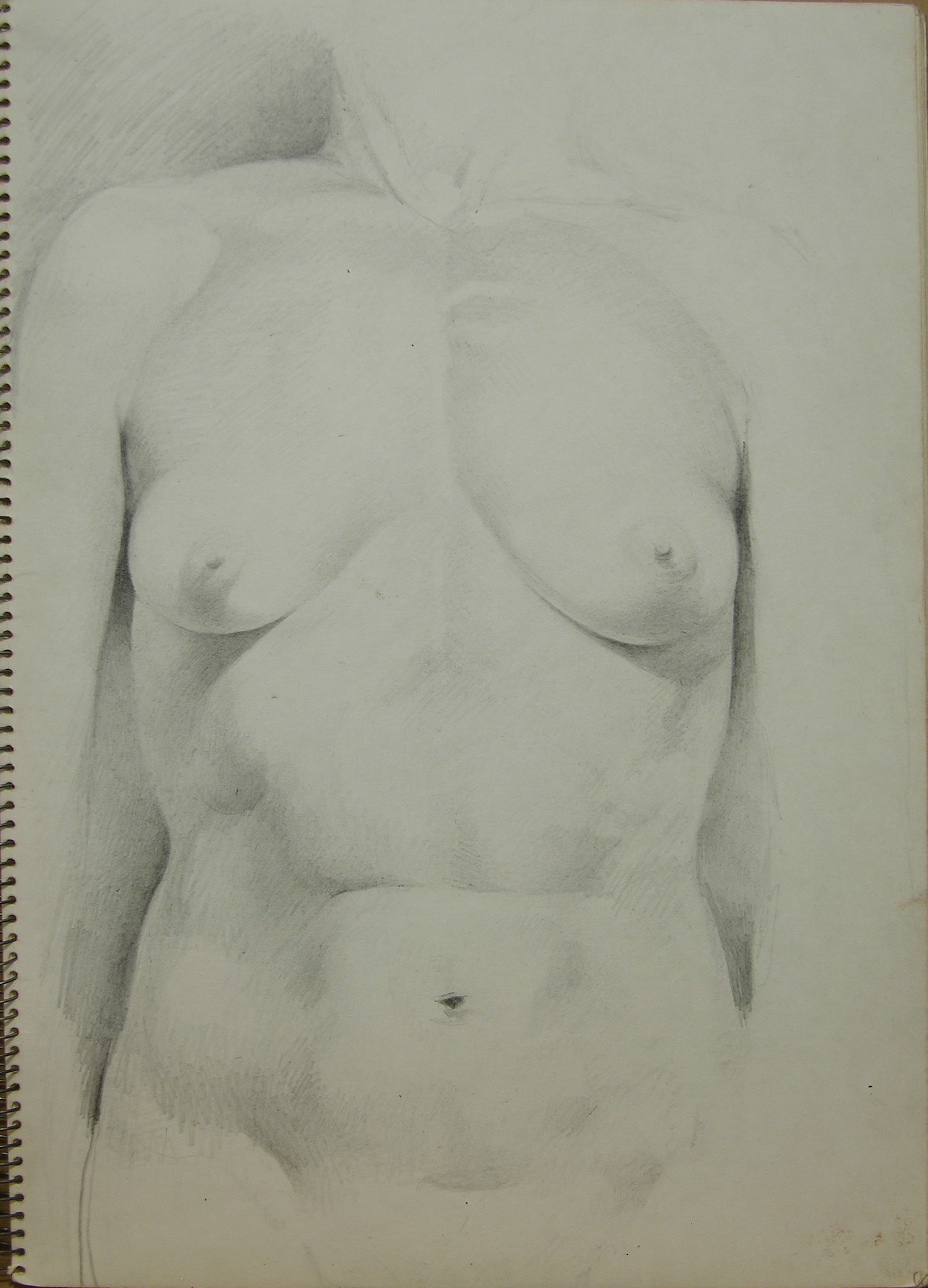 Lápiz/papel .- 34,4x24cm