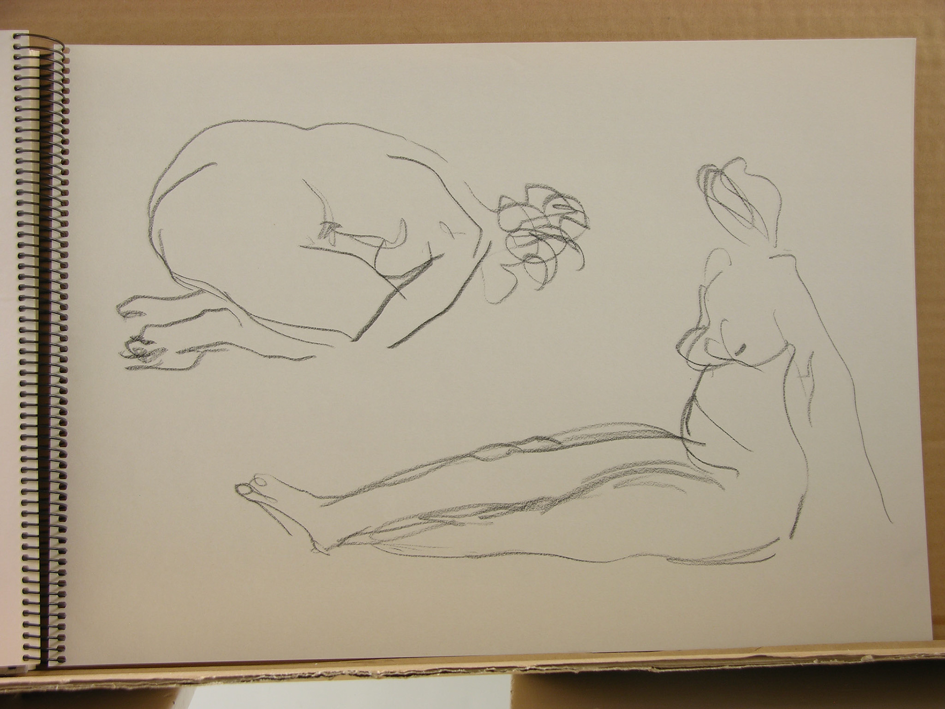 Lápiz/papel.-29,6x41cm