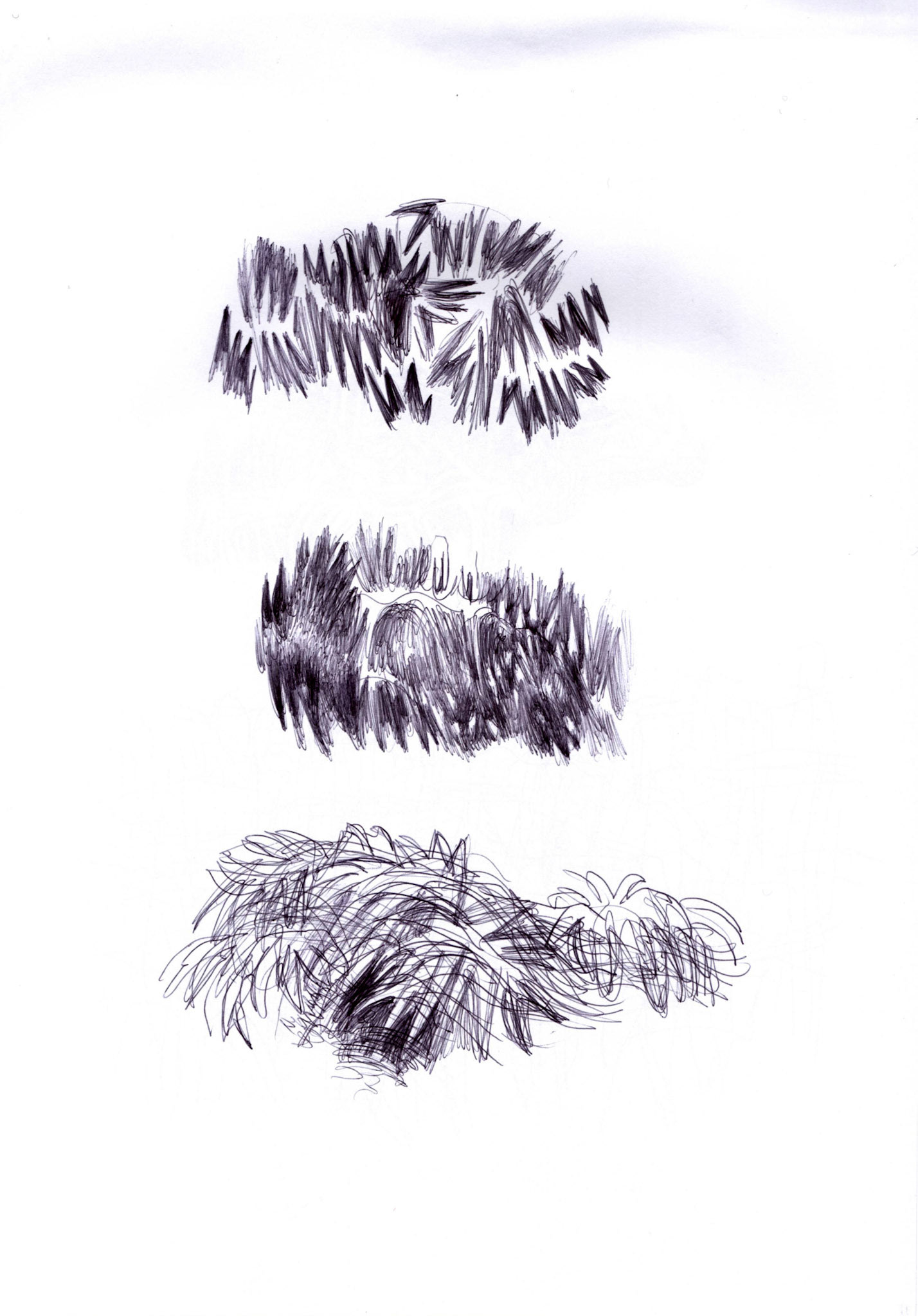 Bolígrafo / papel._ 29,5 x 20,5 cm.