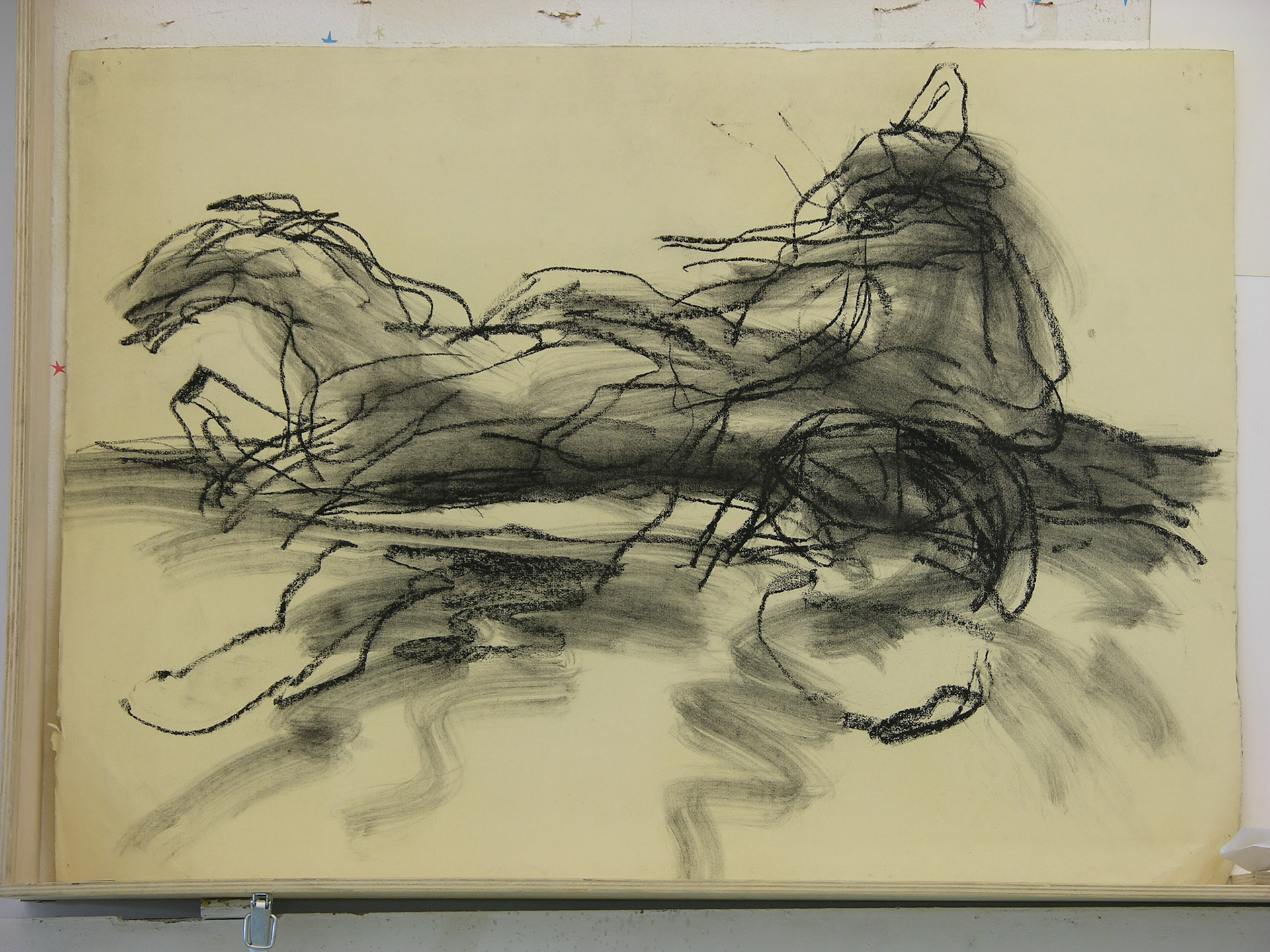 carboncillo/papel._ 50,5x70cm