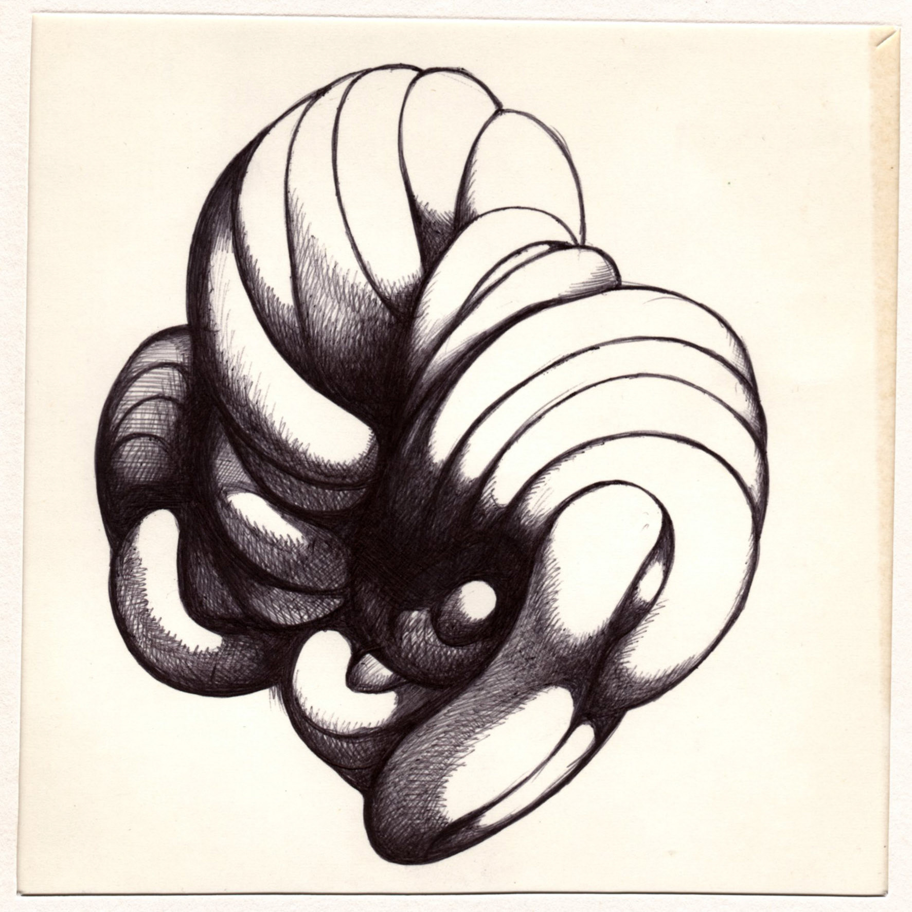 boligrafo/papel._ 14,3 x 14,3 cm