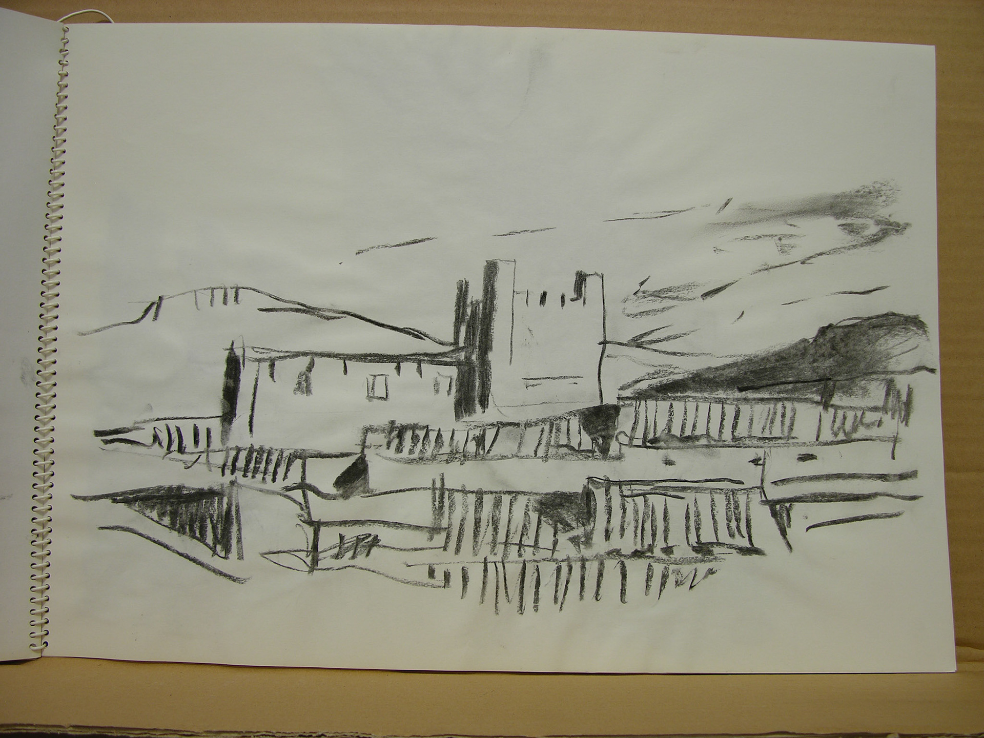 Carboncillo/papel.- 32,5x45cm .-anverso de DSCN6392.JPG