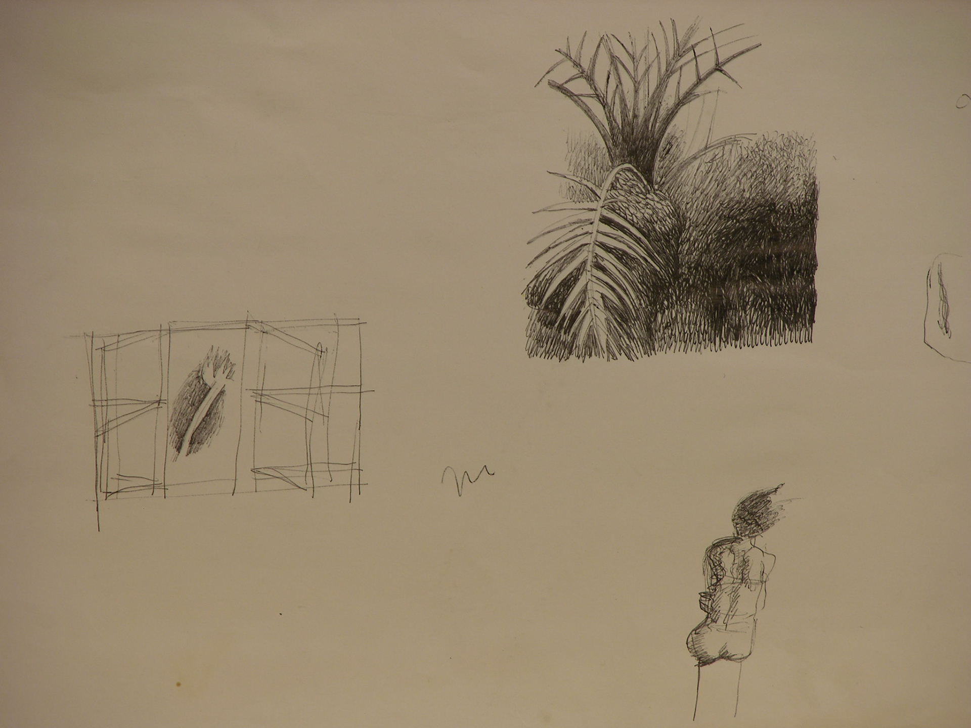 bolígrafo/papel._31,5x43,8cm