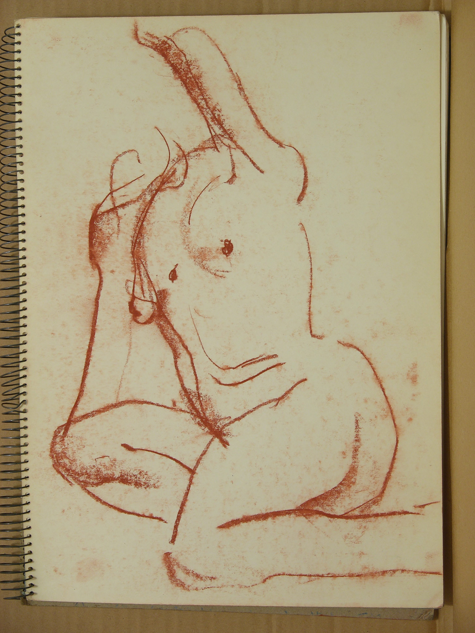 Sanguina/papel._ 34,4x24,7cm