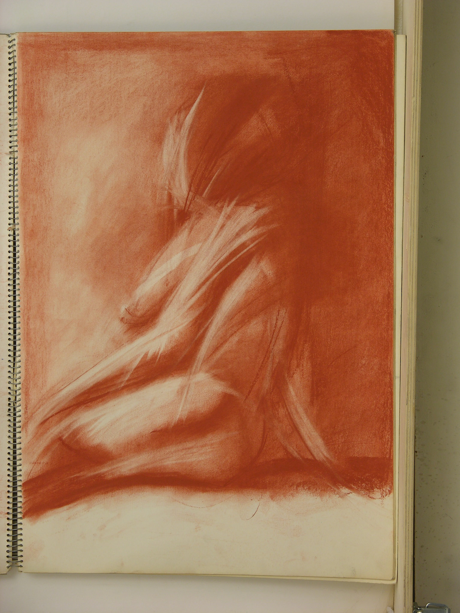 Sanguina/papel.-33,5x49,4cm