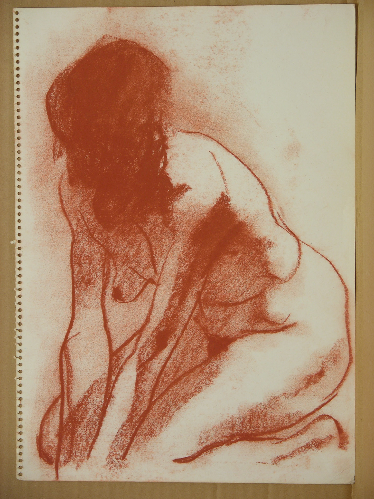 Sanguina/papel._ 34,3x24cm