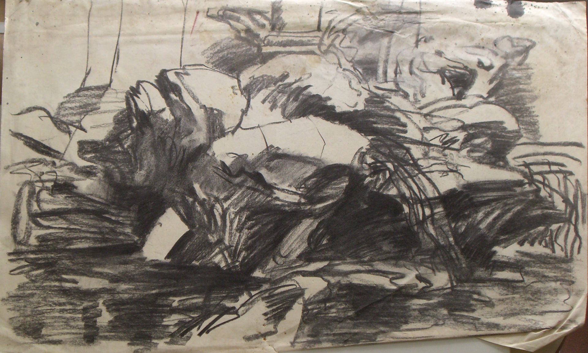 Carboncillo/papel .-40,7x70cm